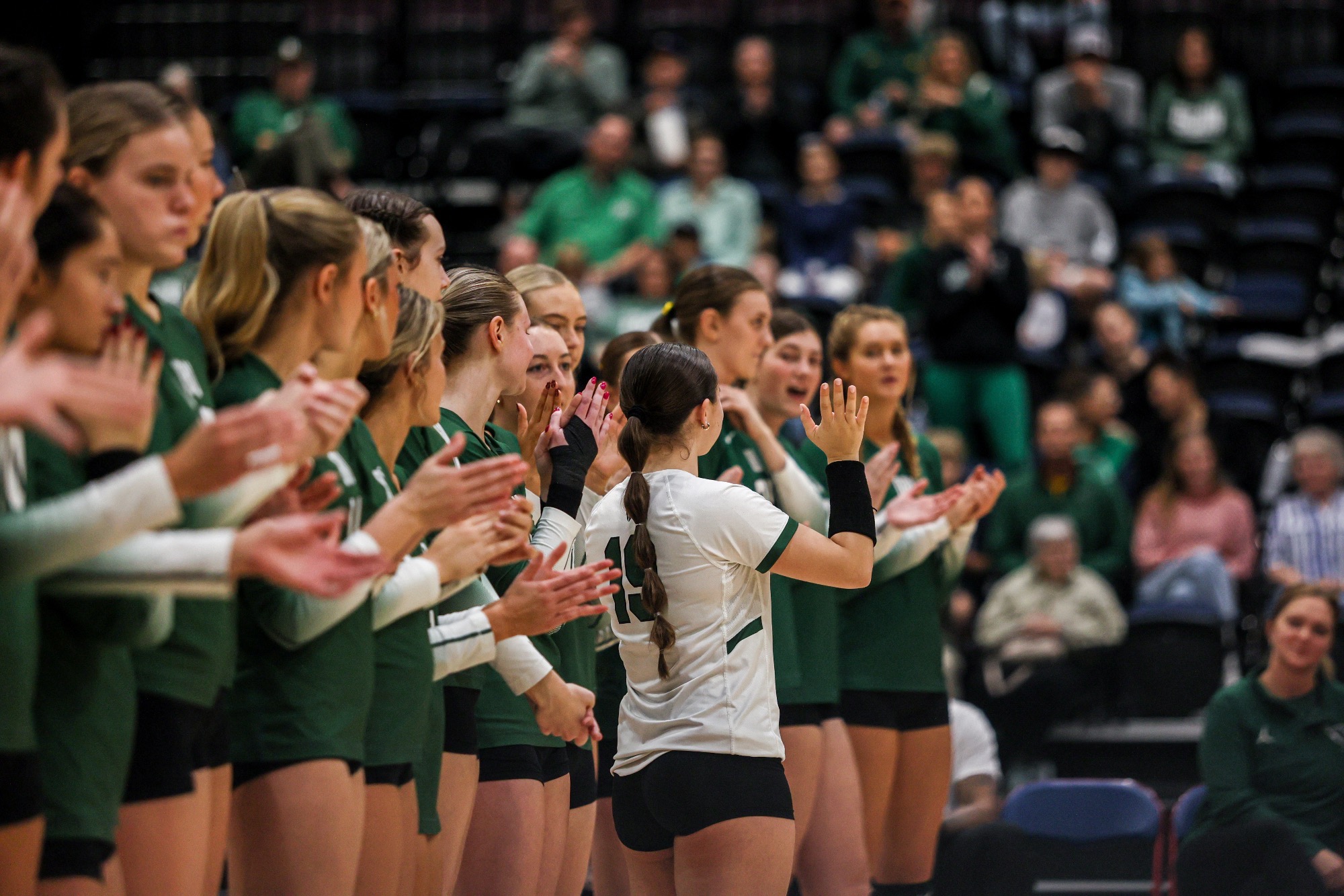Volleyball Team Shot