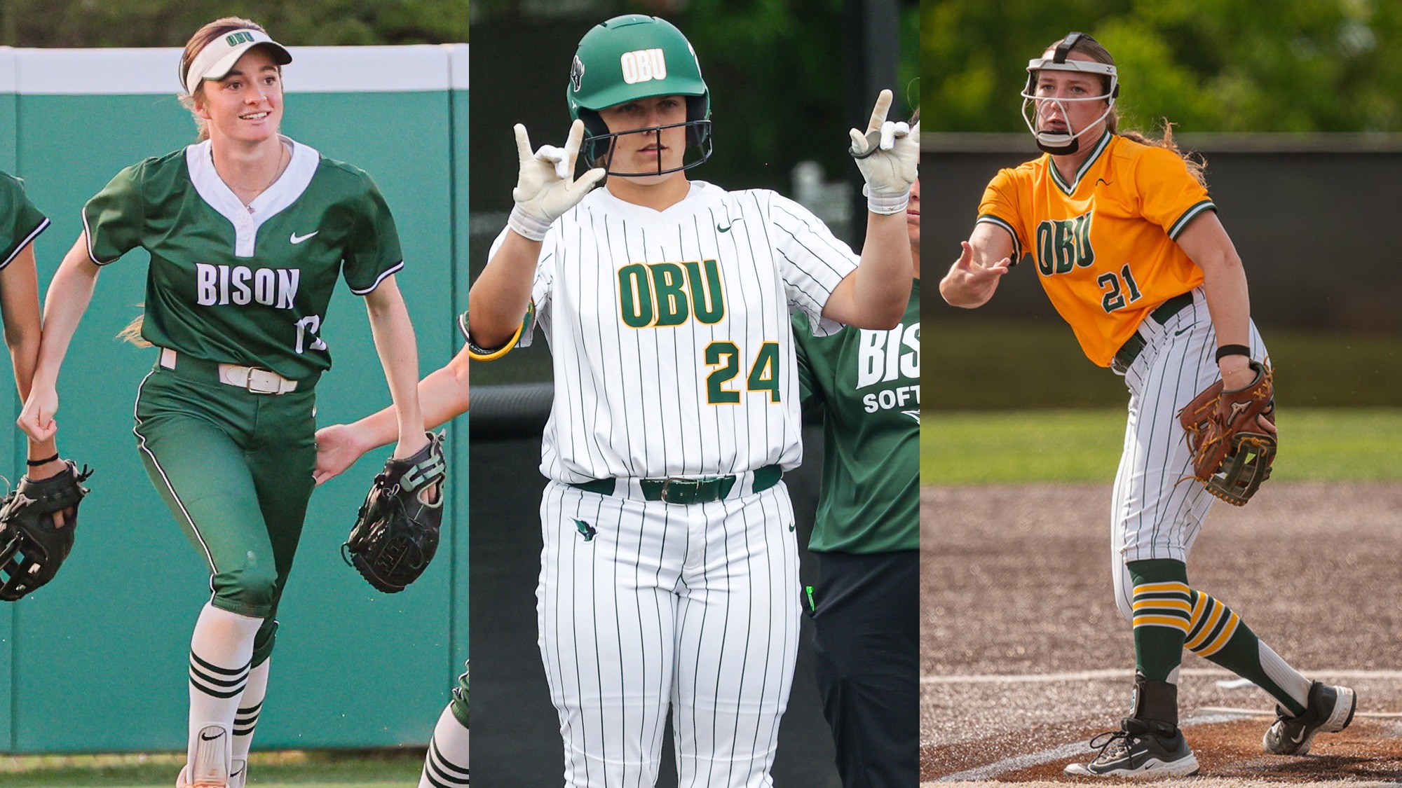 SOFT-D2CCA-All-Region