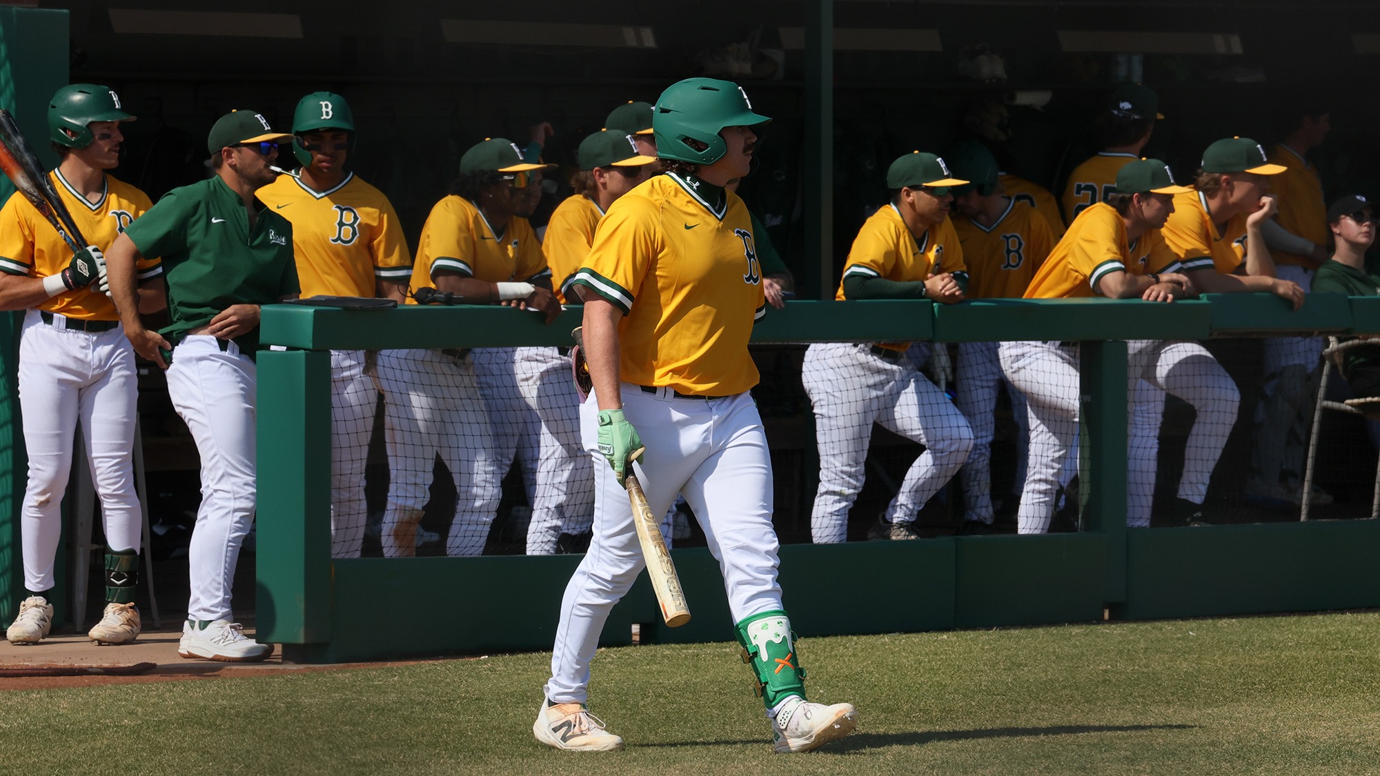 Schaefer-HSU-Preview