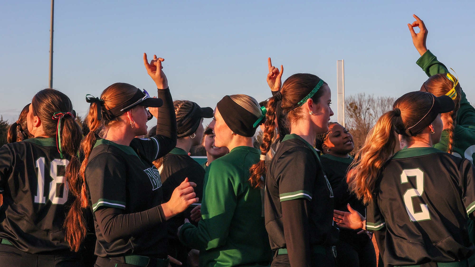 Team-SOFT-ECU-Series