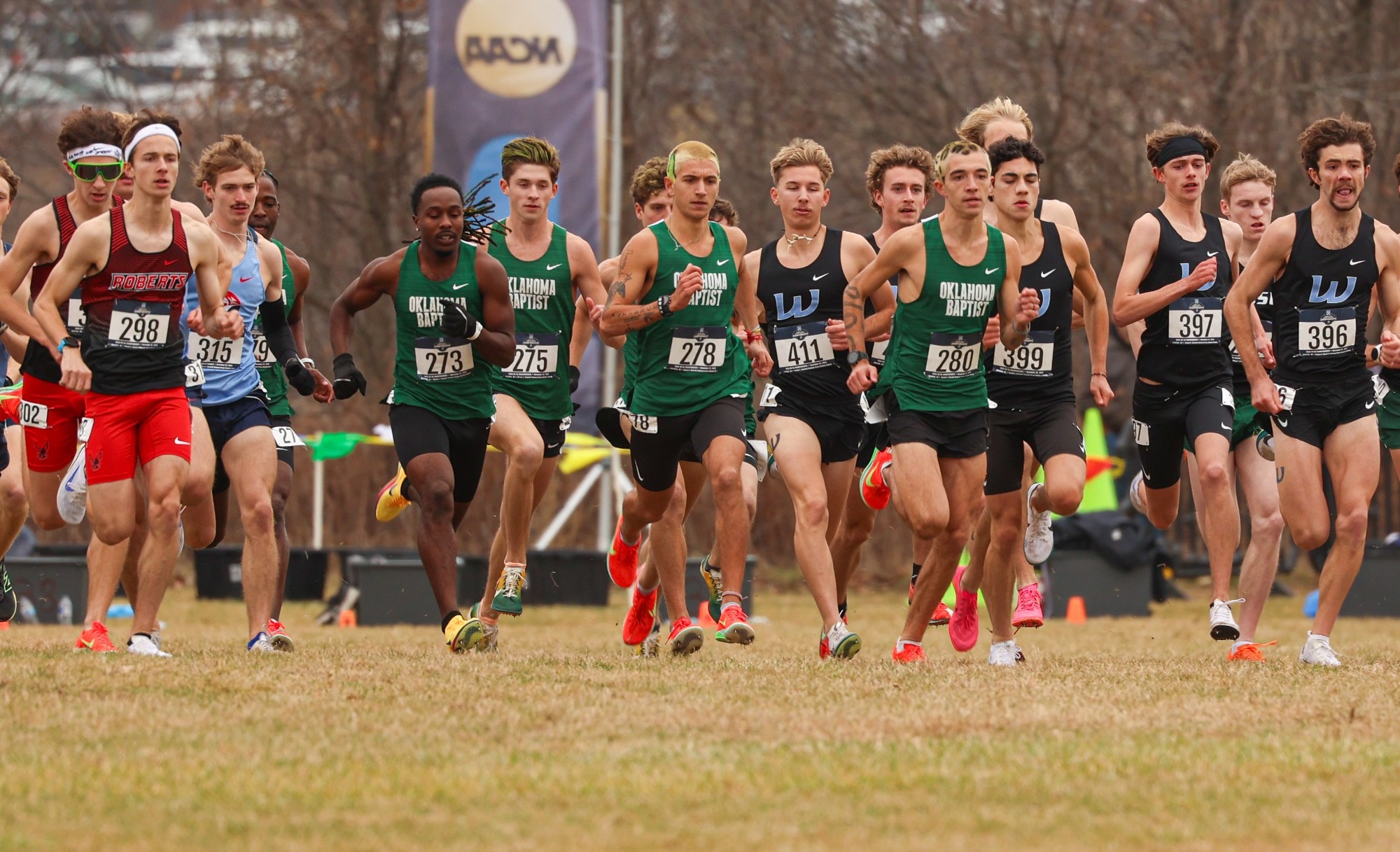 2026 Men's Cross Country Preview