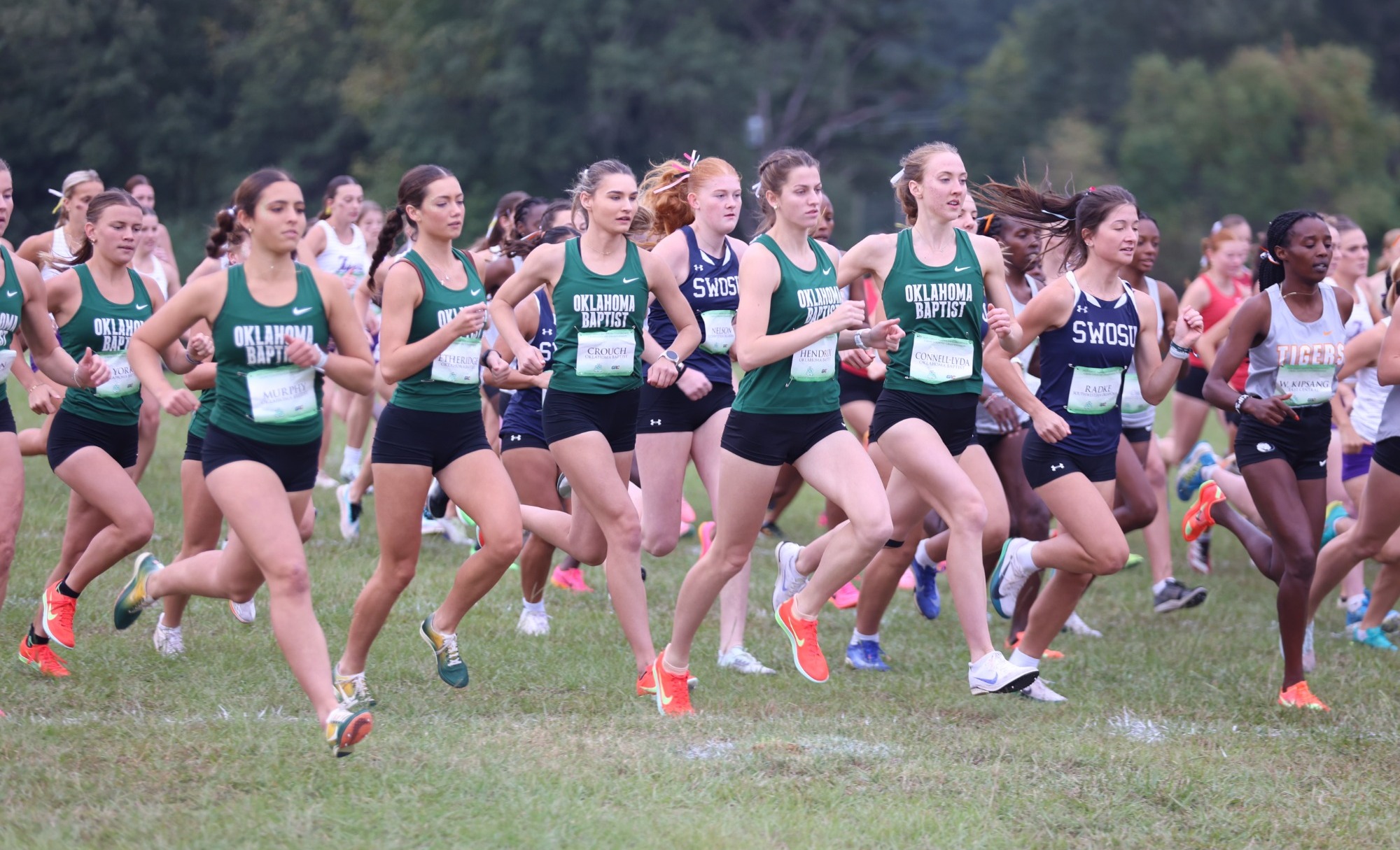 2026 Women's Cross Country Preview