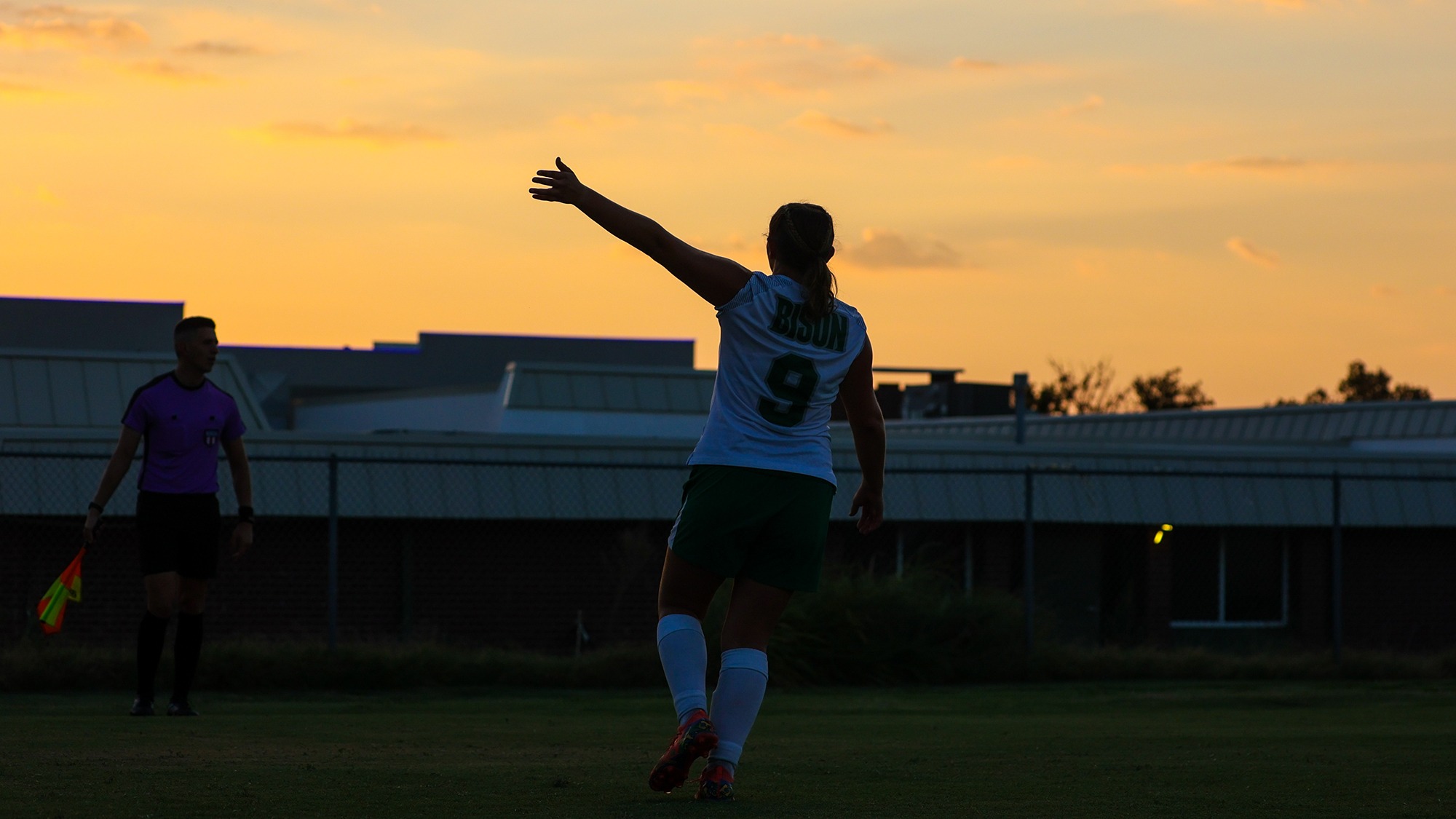 Dover-Harding-Preview