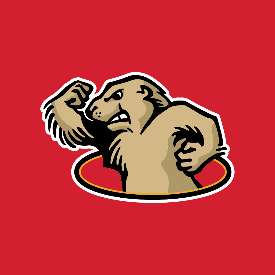 Opponent Logo