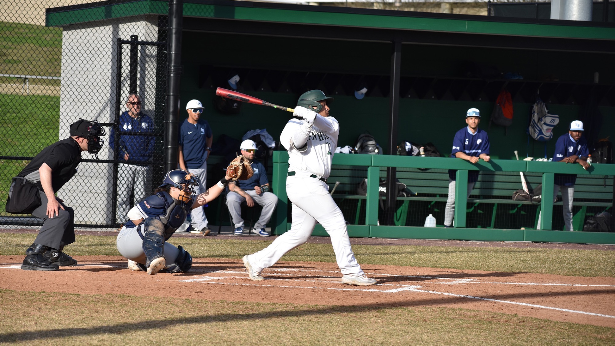 Baseball Splits Doubleheader with St. Joseph'sLong Island on Monday