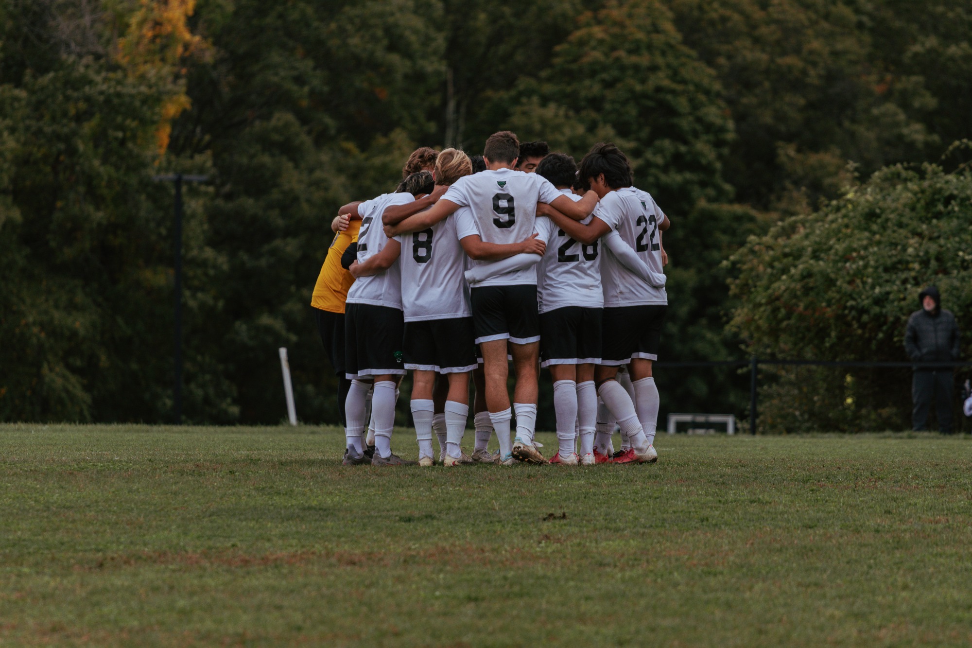 Msoc