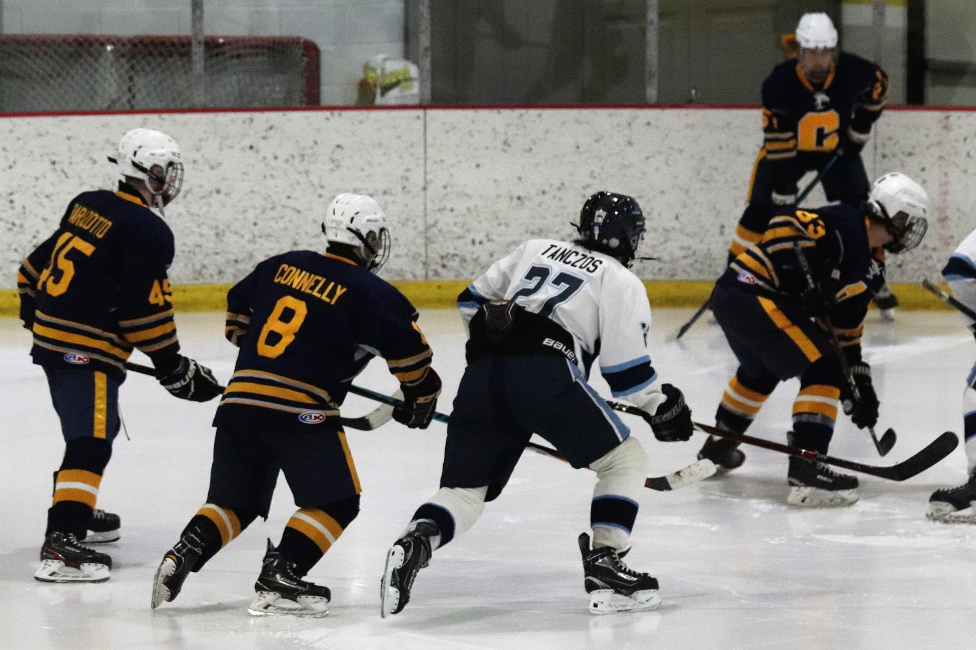 Hockey v. Carrick 1.20.20