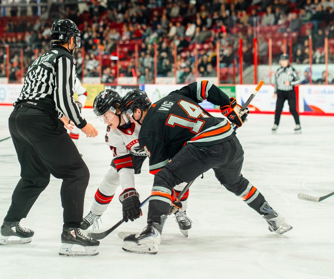 vig faceoff @ WAT 1.10.26