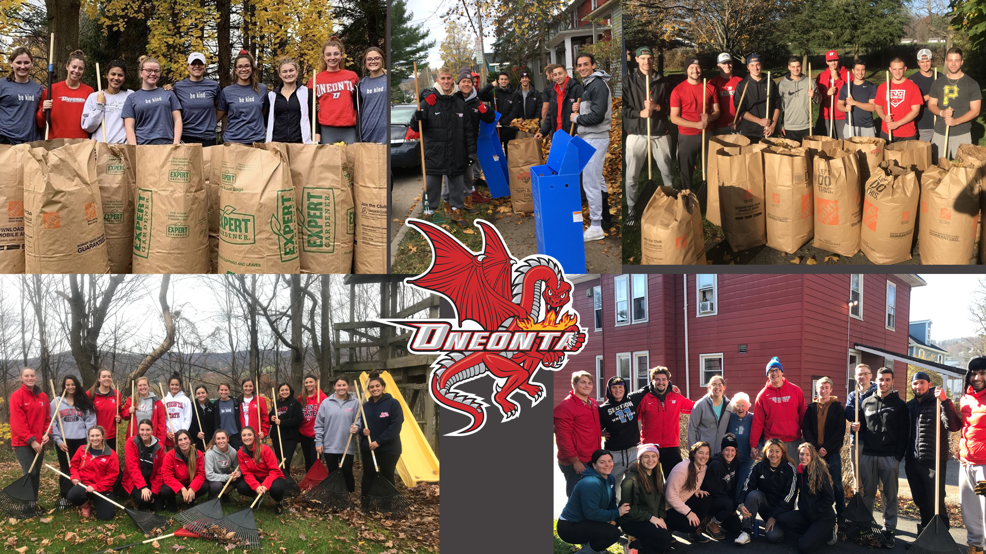 Leaf Raking 2019