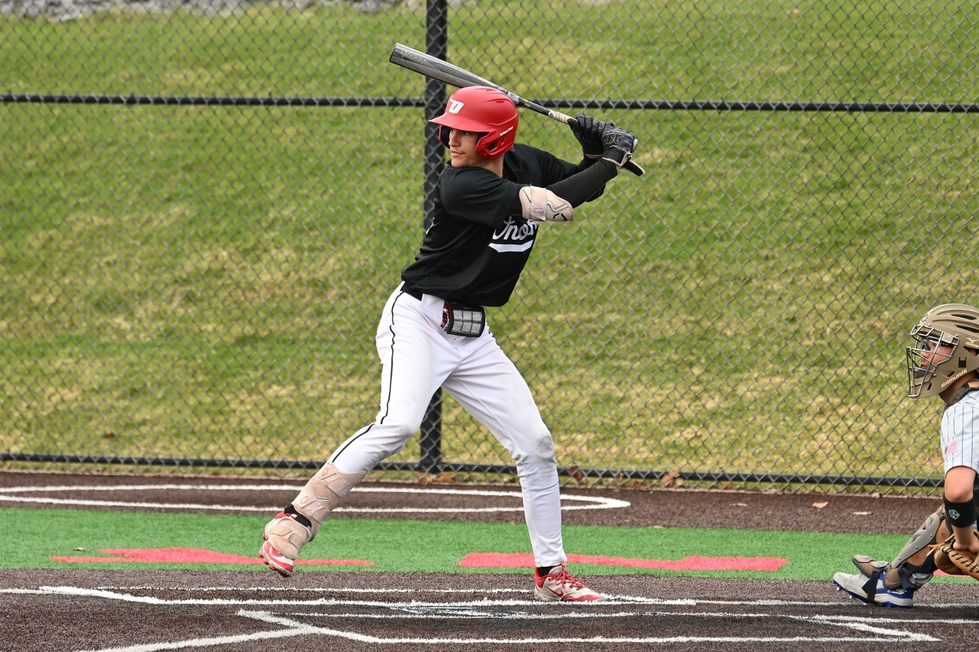 Zachary Rowe up to bat against Hamilton