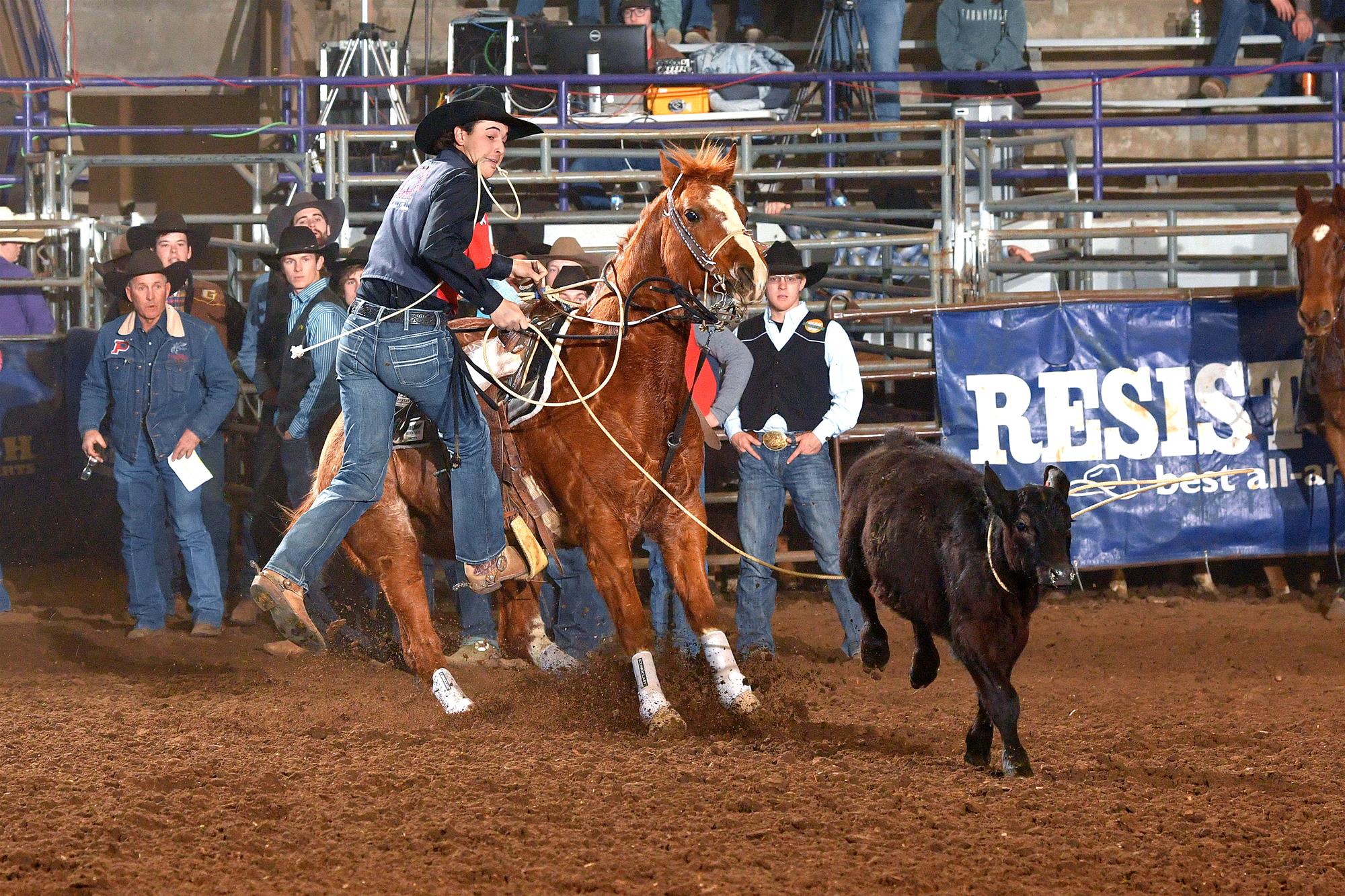 OPSU Men's Rodeo Team Dominate at Kansas State Oklahoma Panhandle