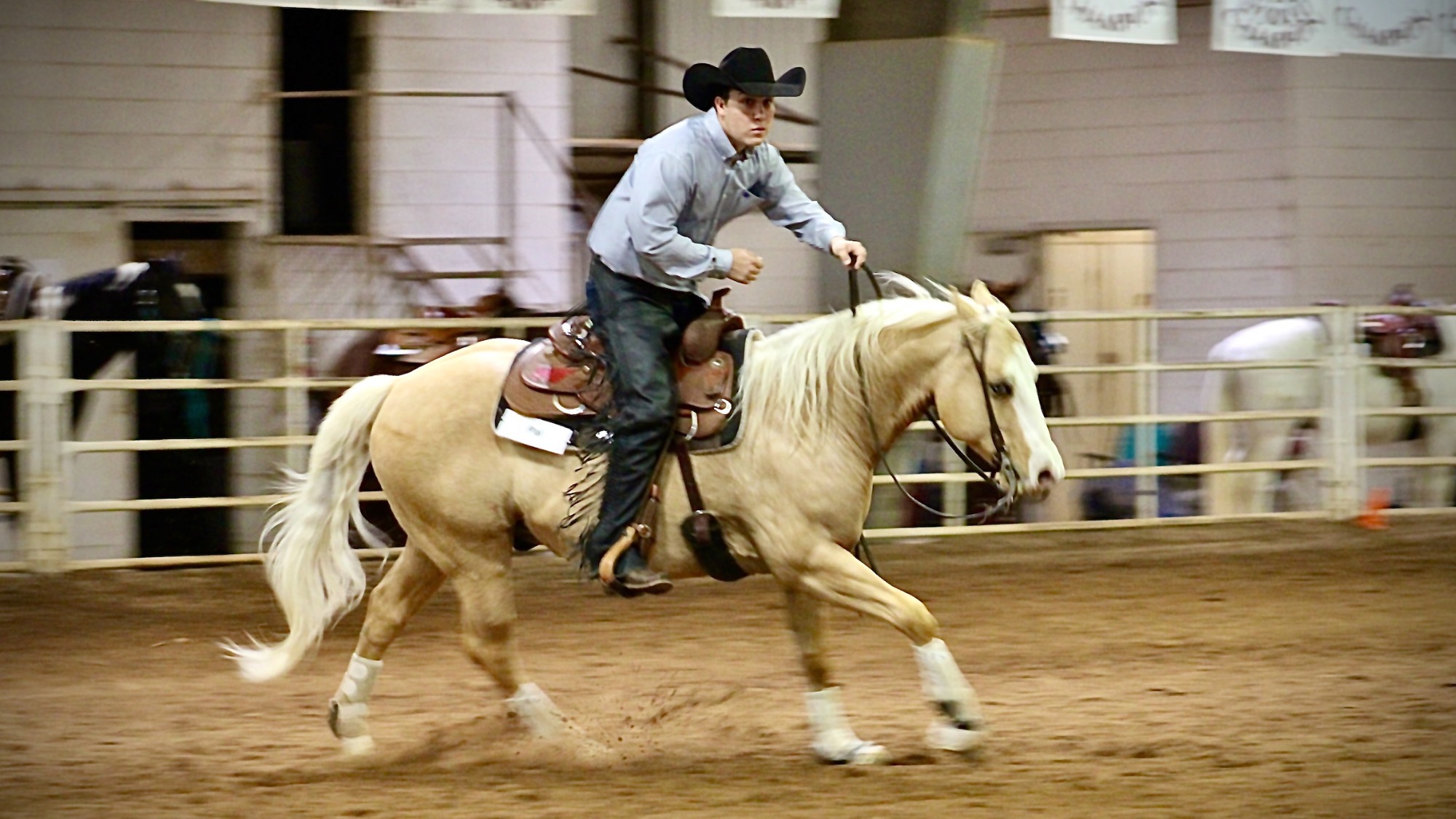 WTAMU_Equine_2025