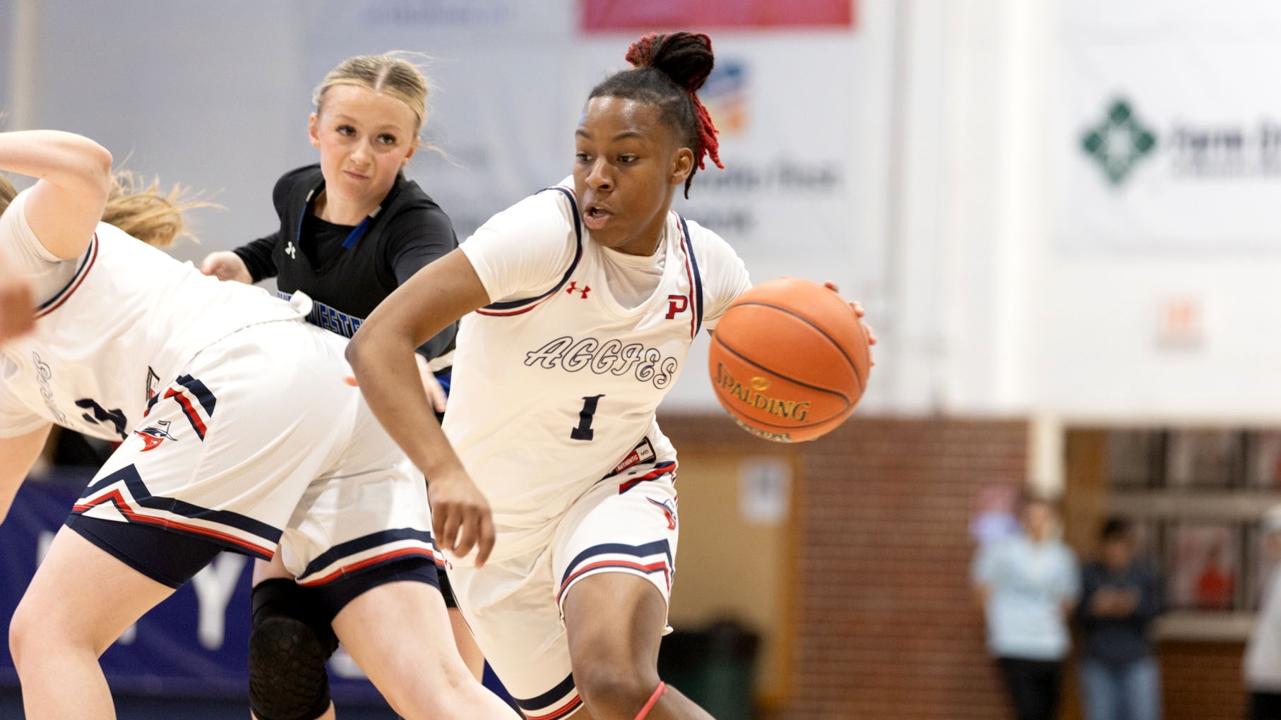 Johnson_Nash_Drive_1-17