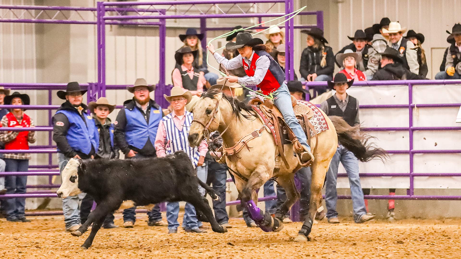 KState_Rodeo_Women_Breakaway