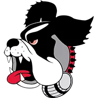 Opponent Logo