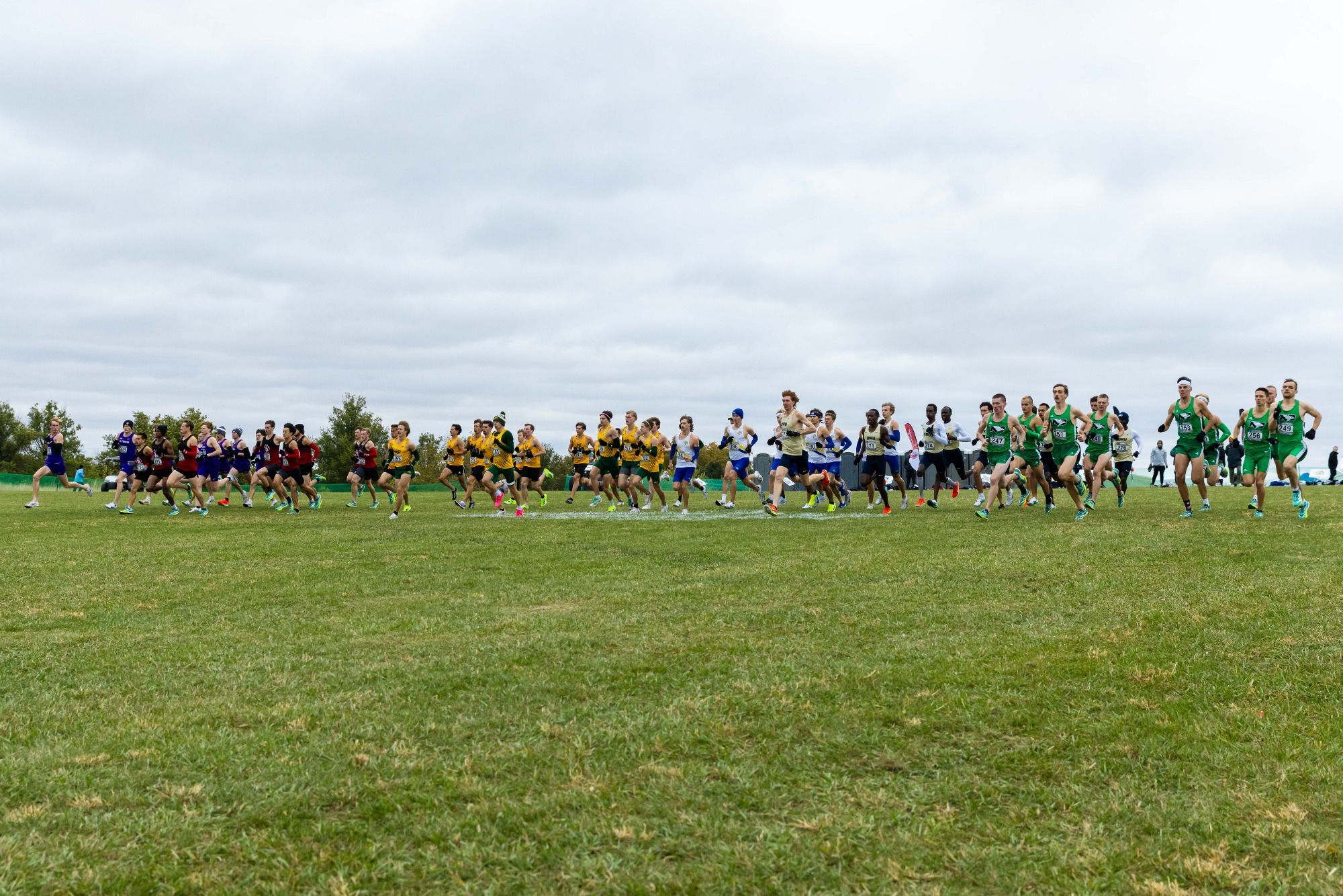 XC Midwest Regional Recap