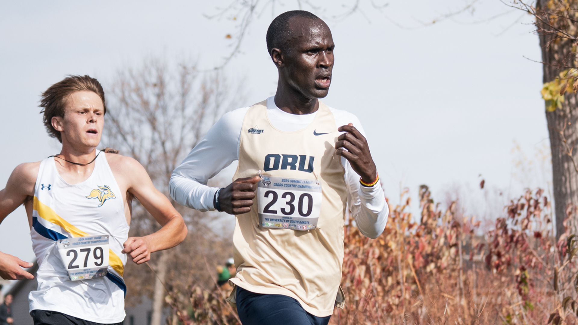 XC Bob Timmons Recap Web Story