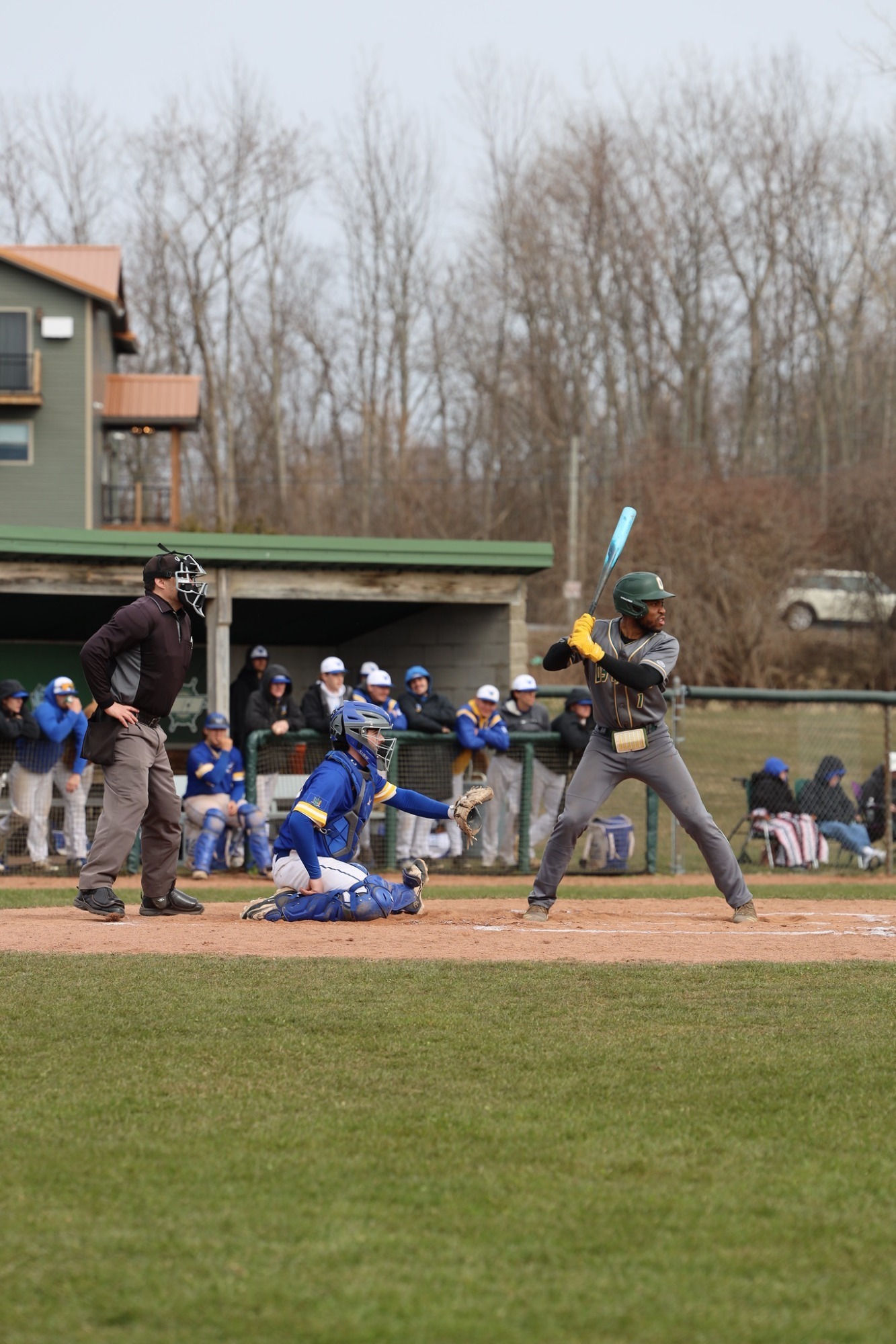 Jelani Hamer Baseball Oswego State Athletics
