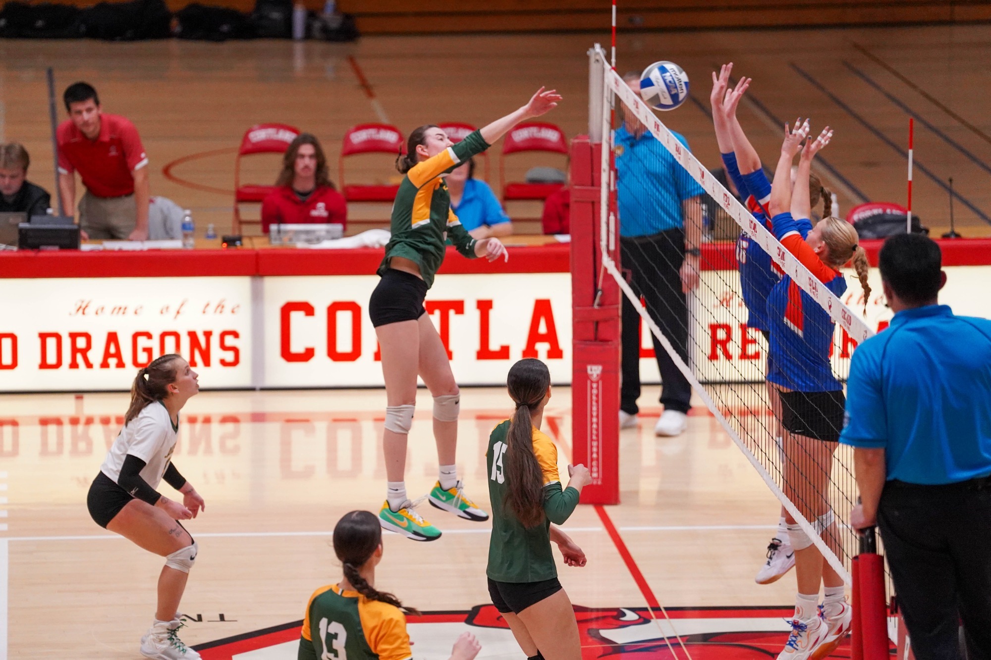 Priscilla McReynolds