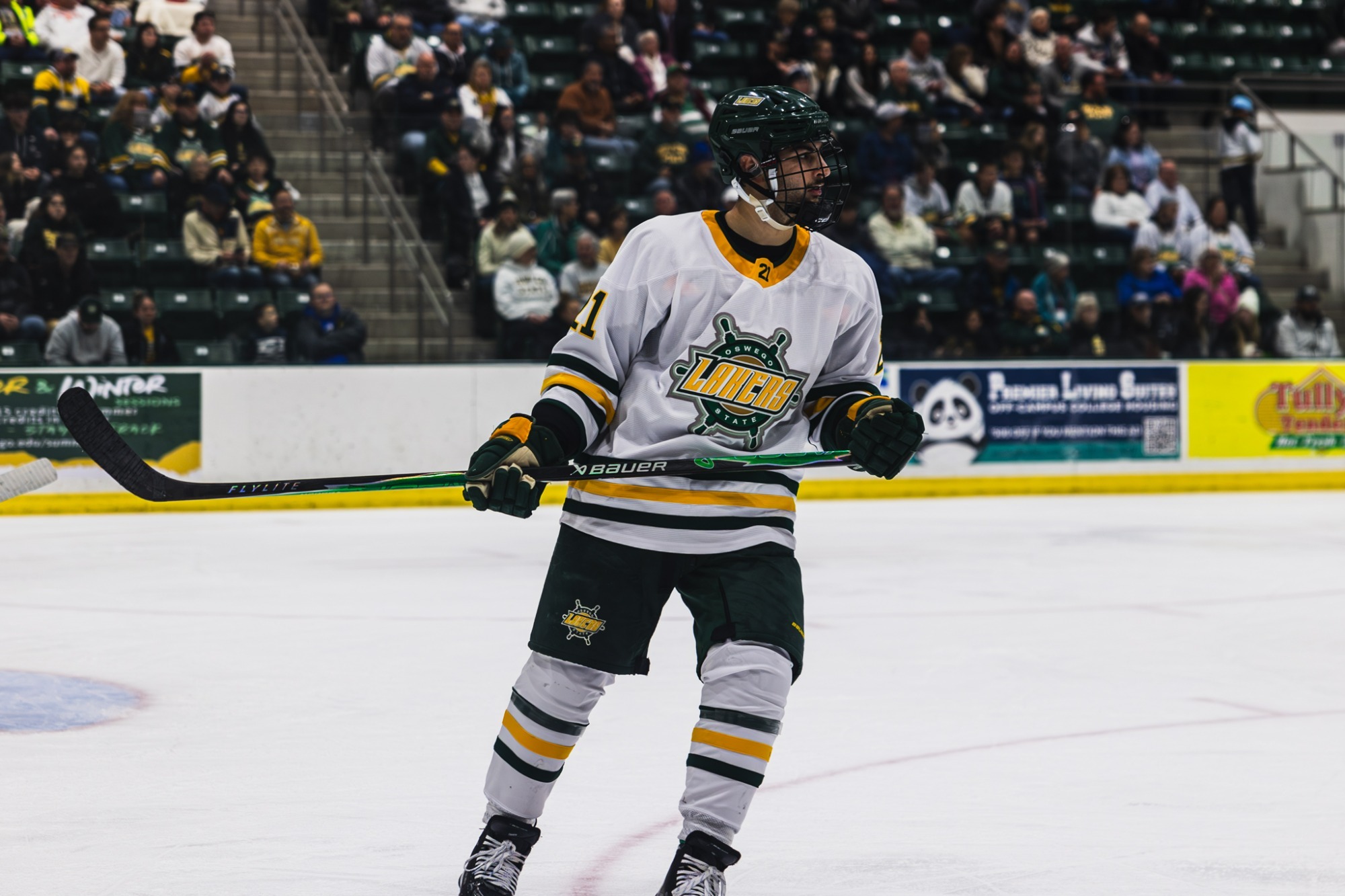 Brandon Cohen mens hockey