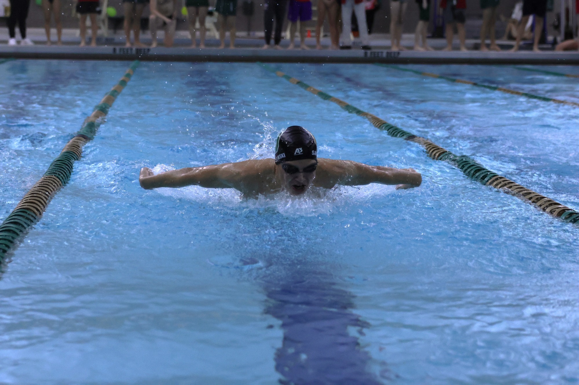 mens swimmer in the laker hall pool doing the butterfly stroke.