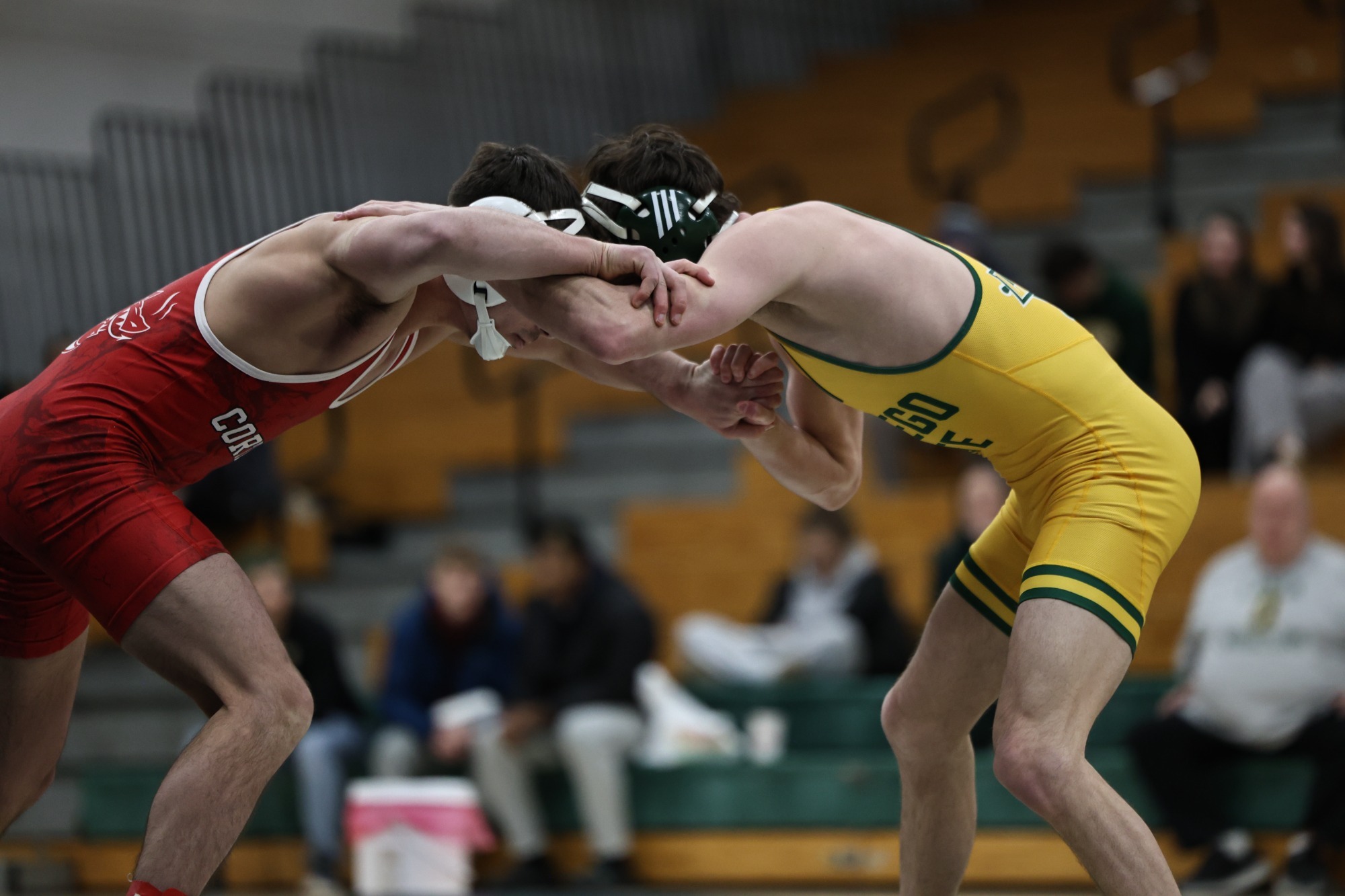 mens wrestler grappling