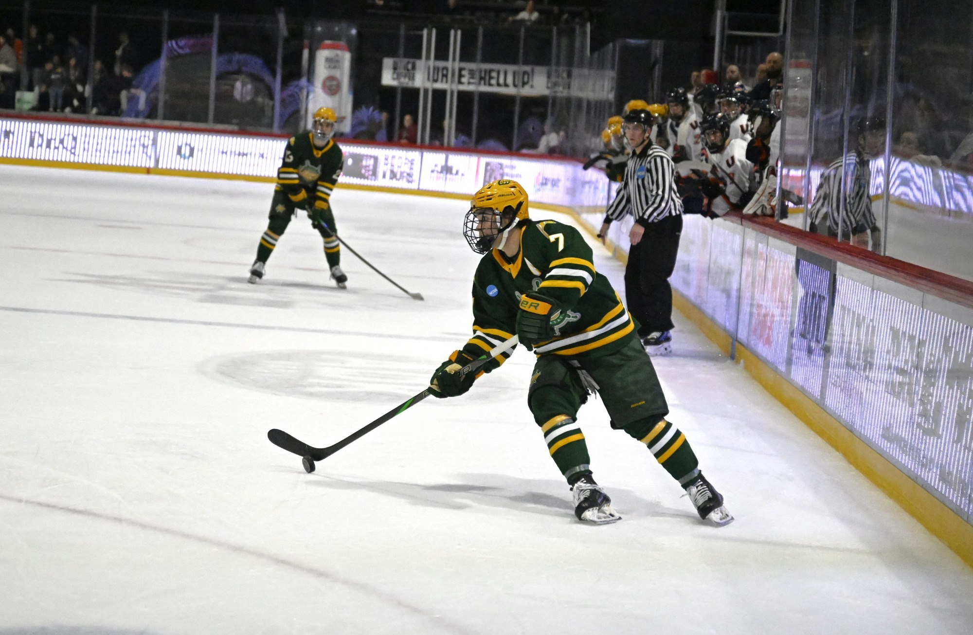 Connor Gatto mens hockey