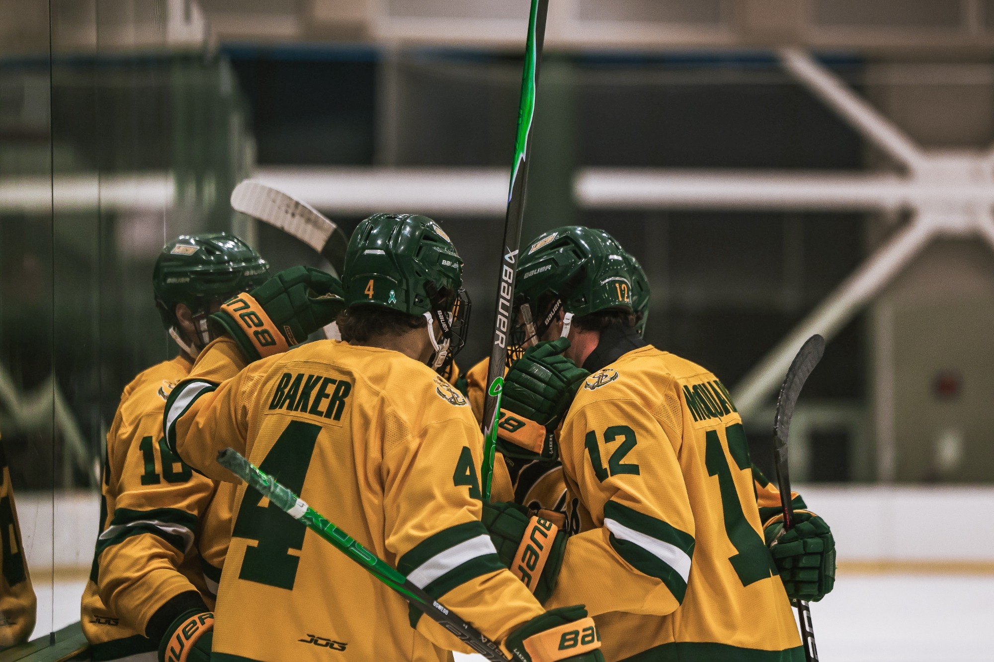 mens ice hockey celebrating a goal