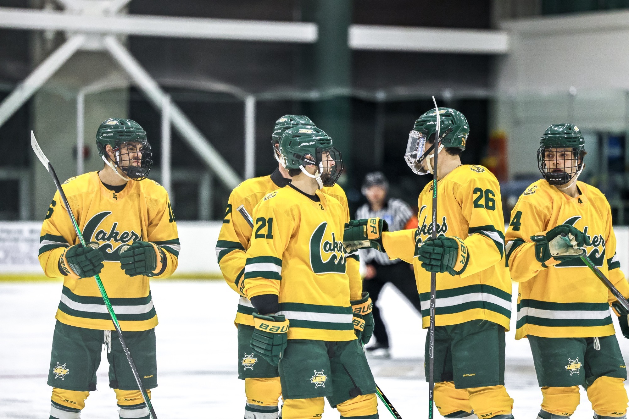 Mens ice hockey team huddle