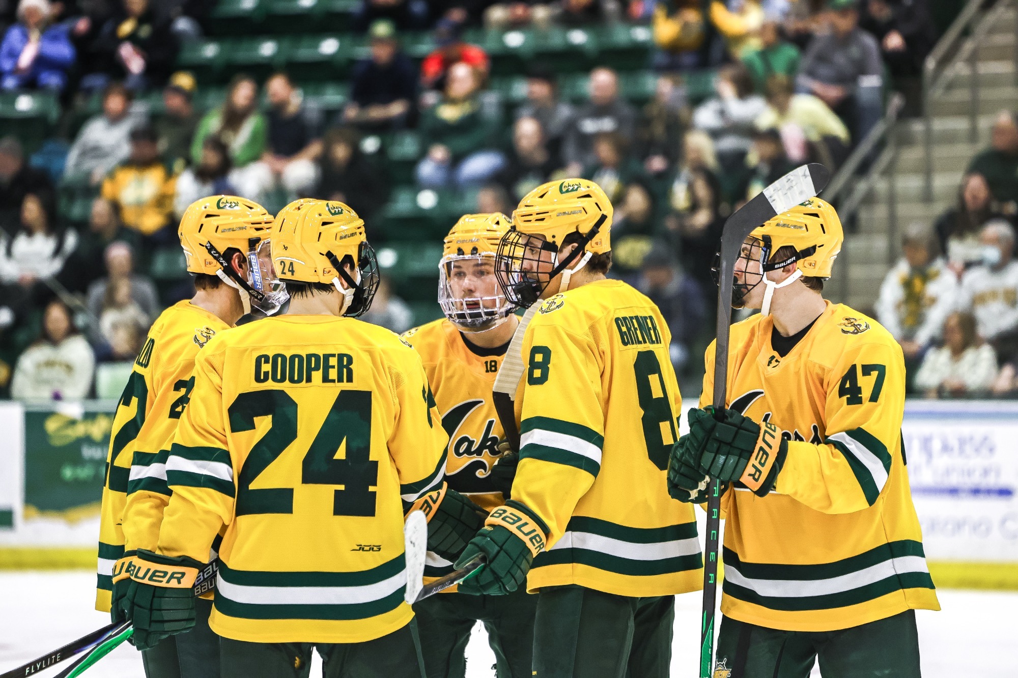 mens ice hockey team