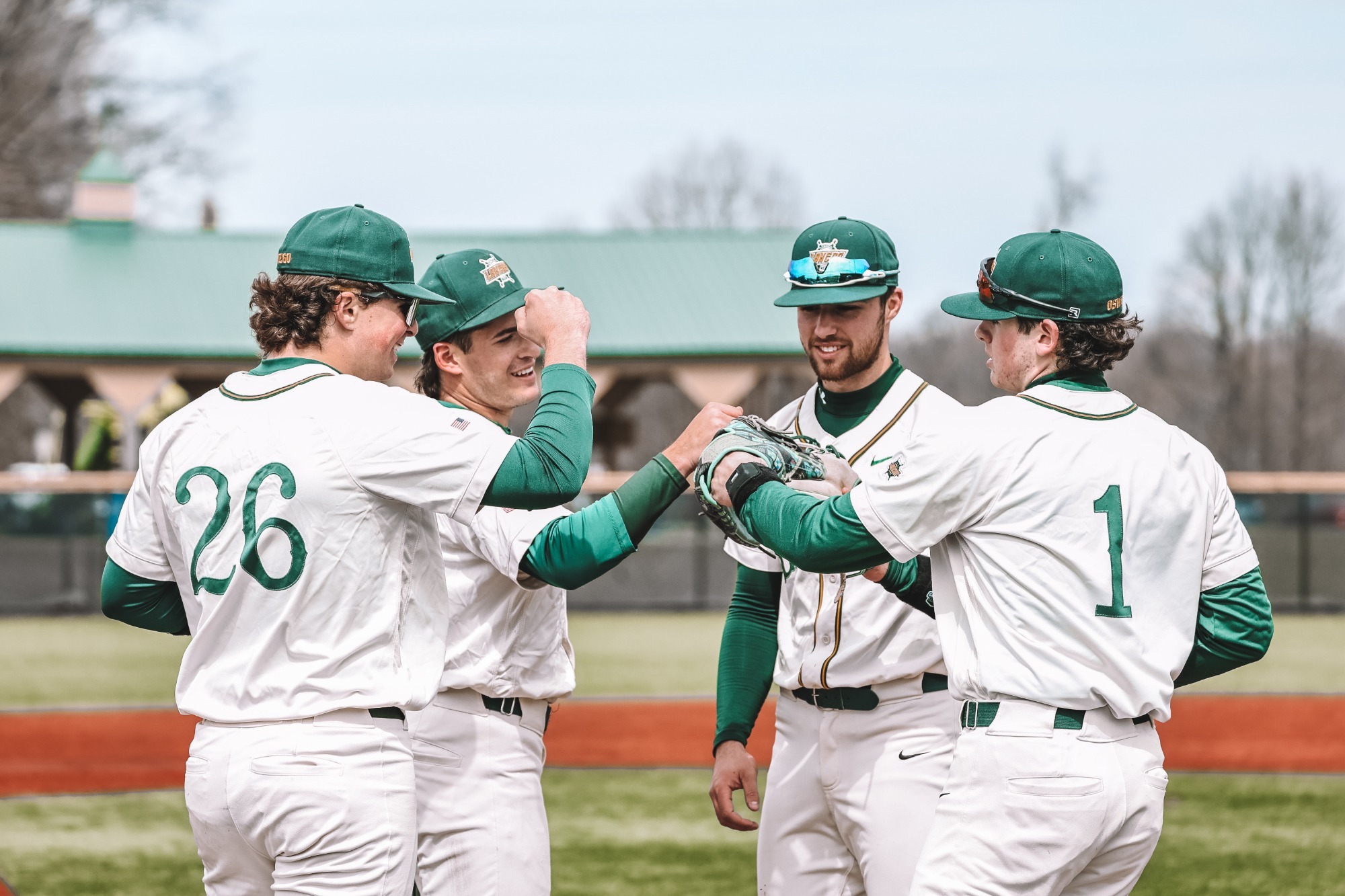 mens baseball celebration