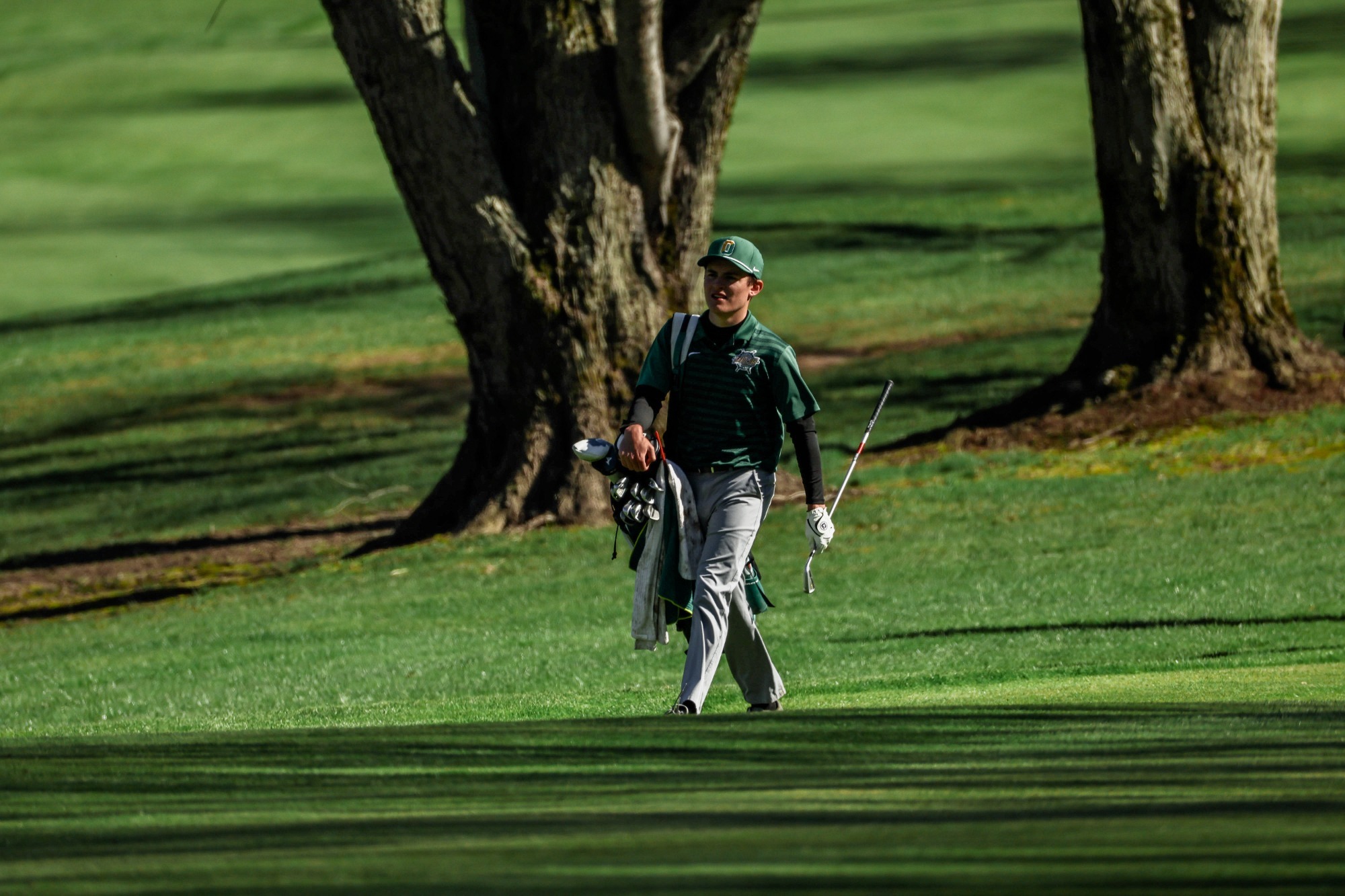Kevin Waters mens golf
