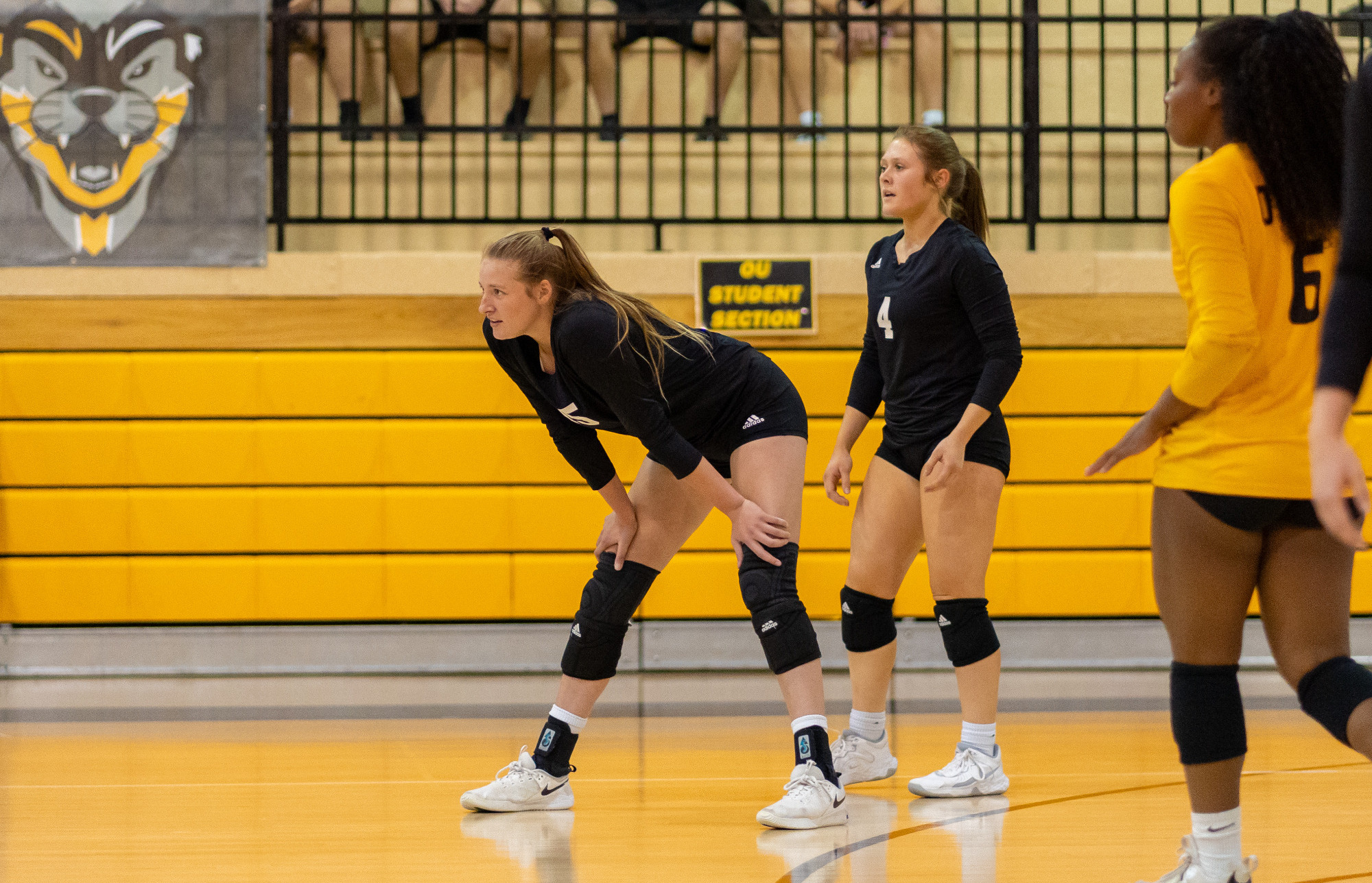 Jadore Hayes 2023 Women's Volleyball Ottawa University