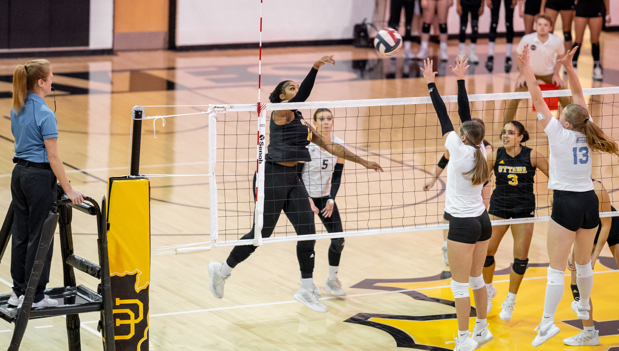 Ottawa vs. York WVB24 