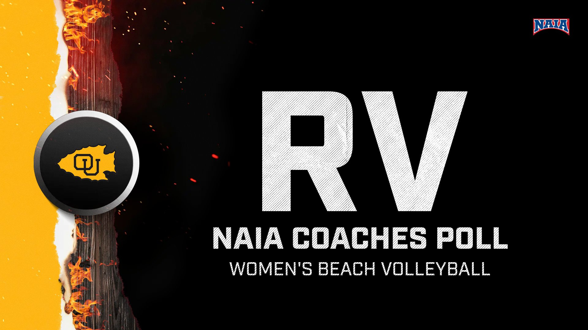 BeachVB_RV_POll_12225