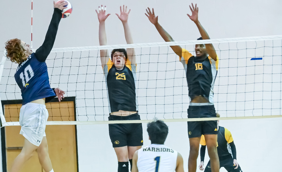 Macort Pickup MVB23 32423