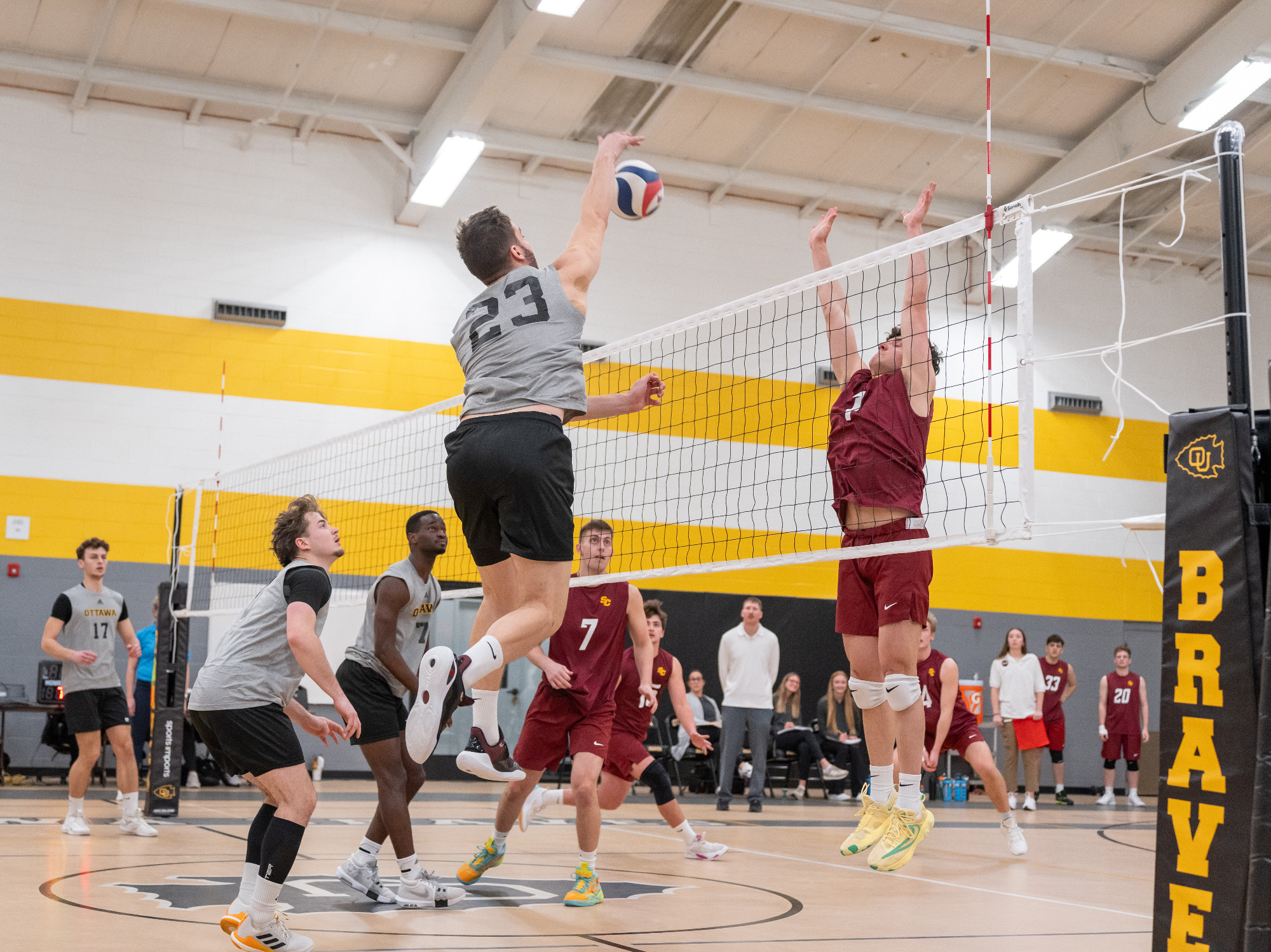 MVB_Simpson_24r234i203u2