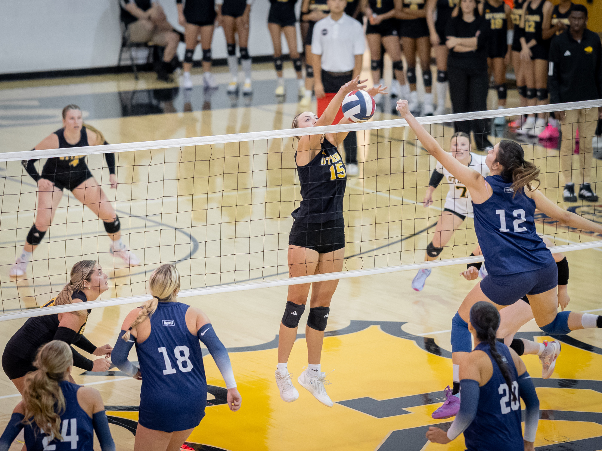 Campbell_Stark_Ottawa_OKWU_WVB_345435