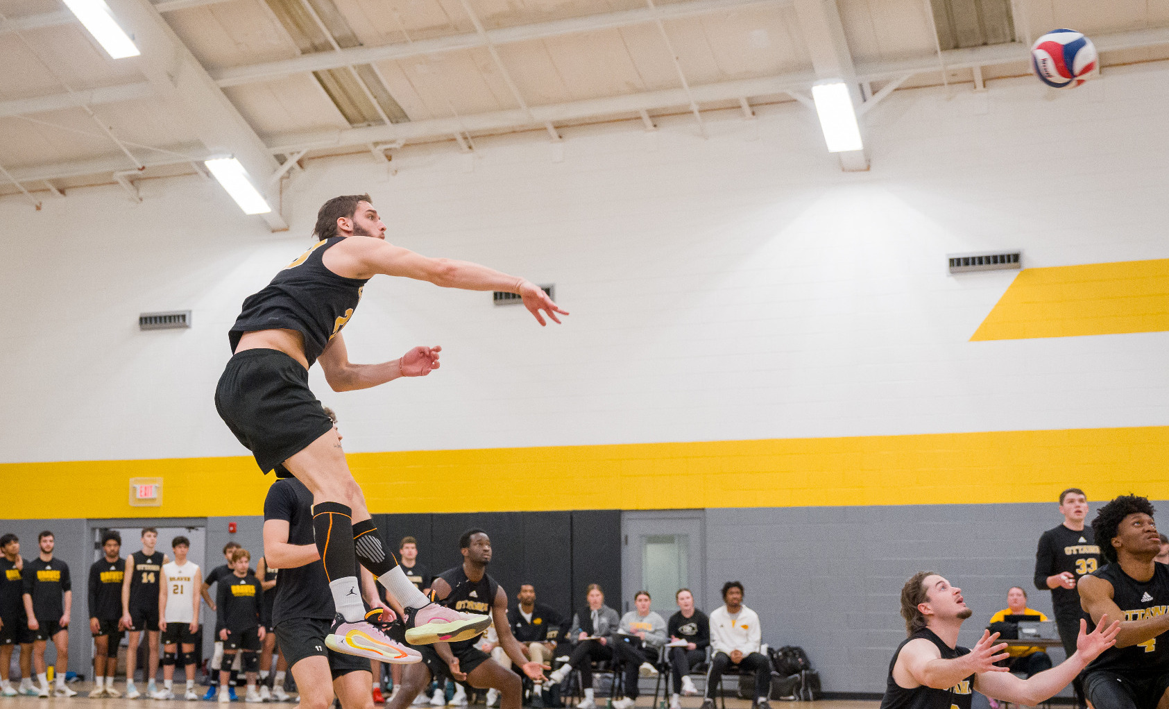 Petar_Lazic_MVB26_324324