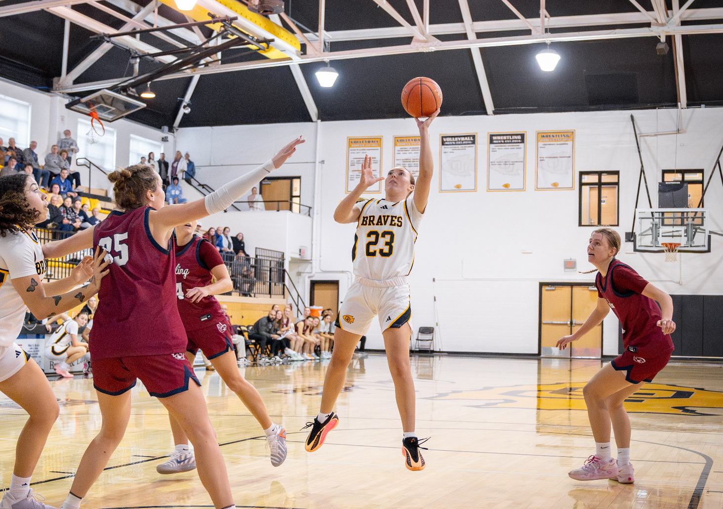 Alison_Daniels_WBB2526_sfdsfs