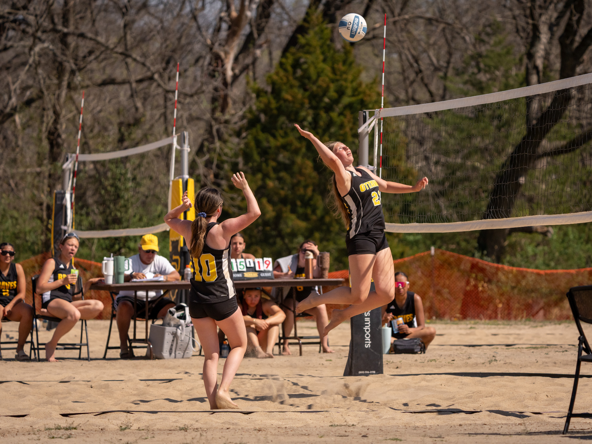 Nickel_Brauner_BVB26_Park_32423