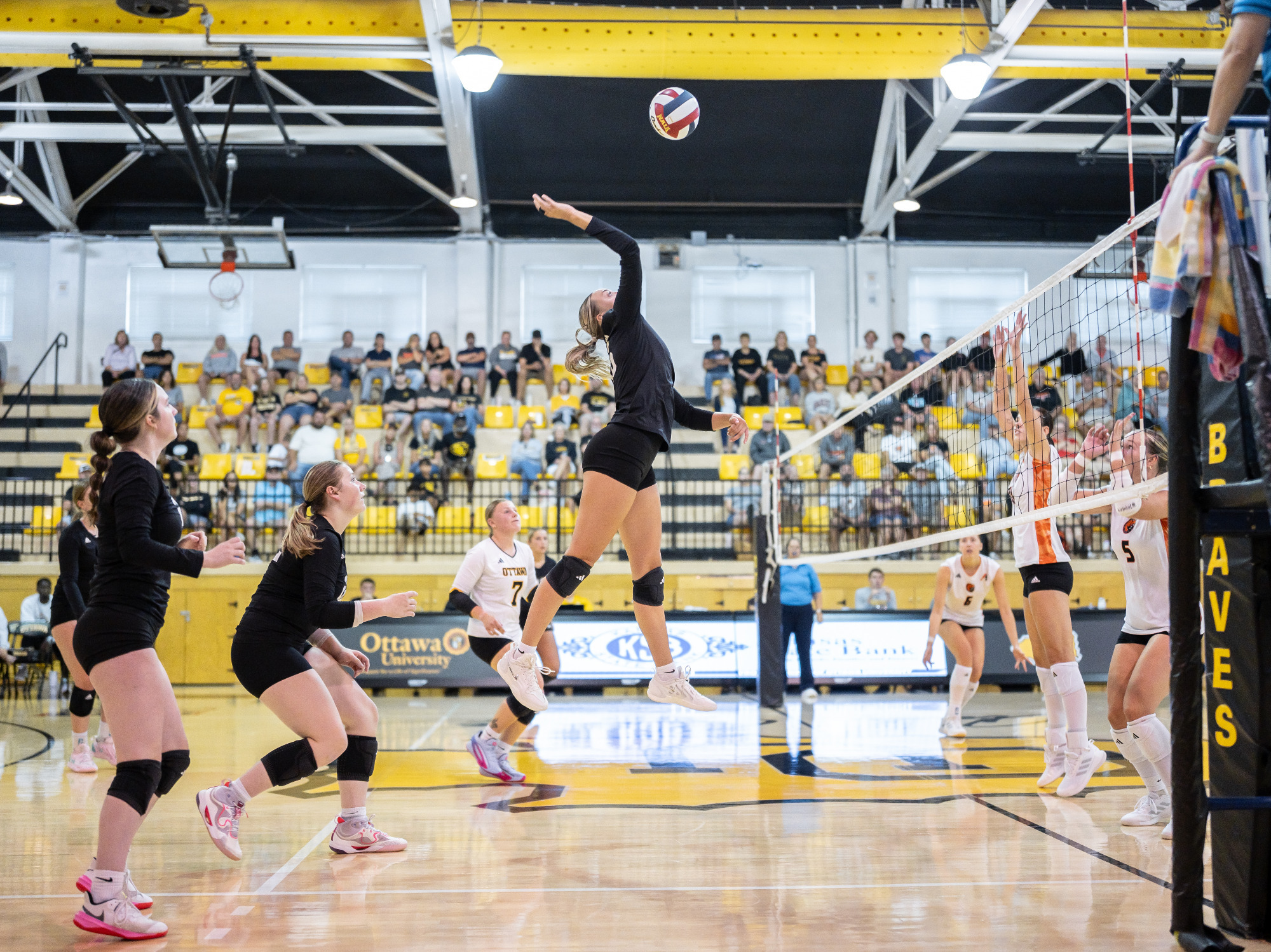 Campbell_Stark_WVB26_Baker