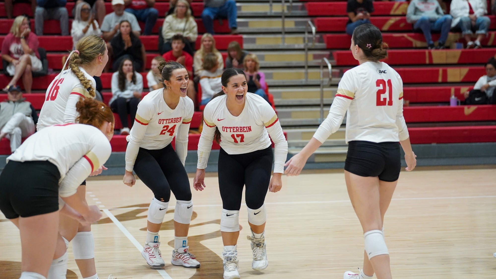 VB Celly
