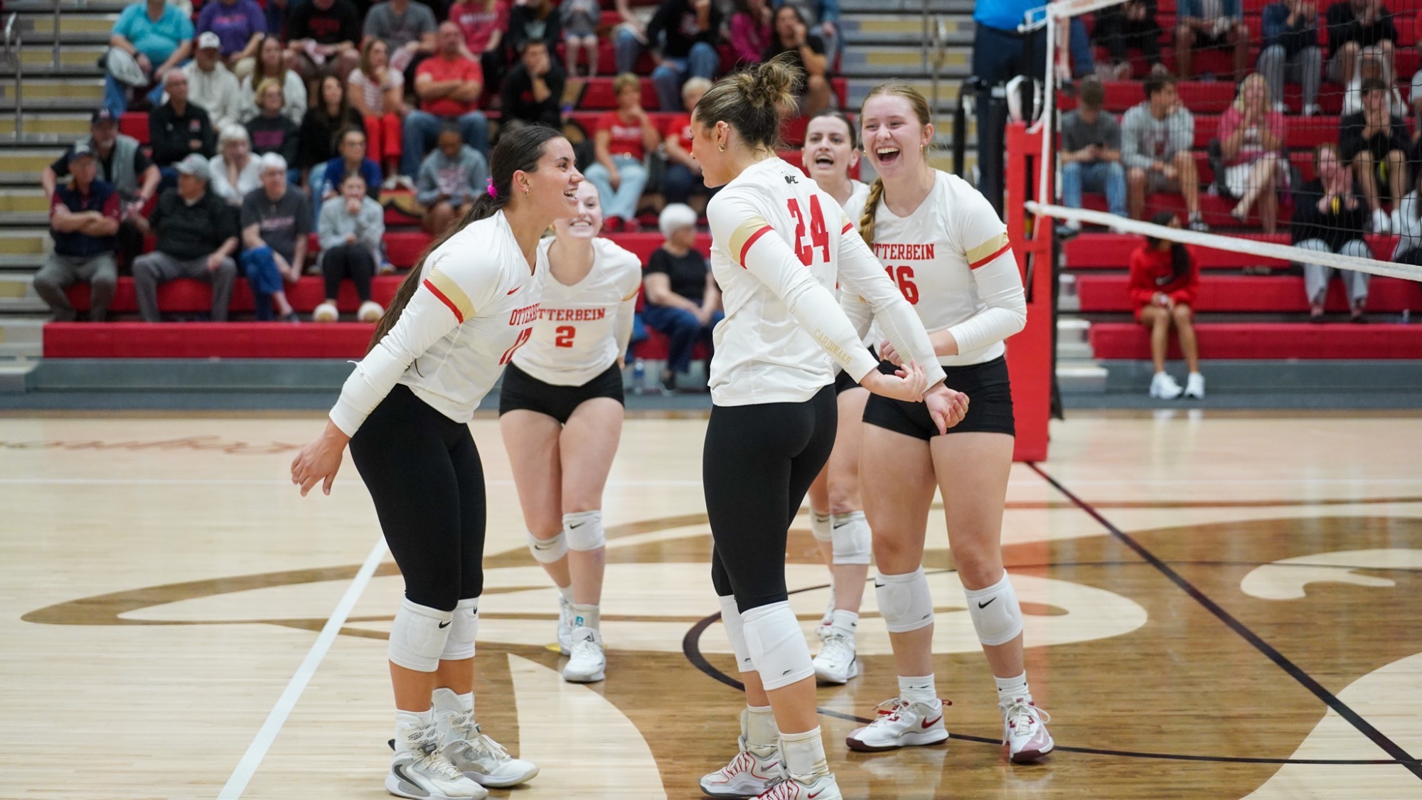 Muskingum Celly