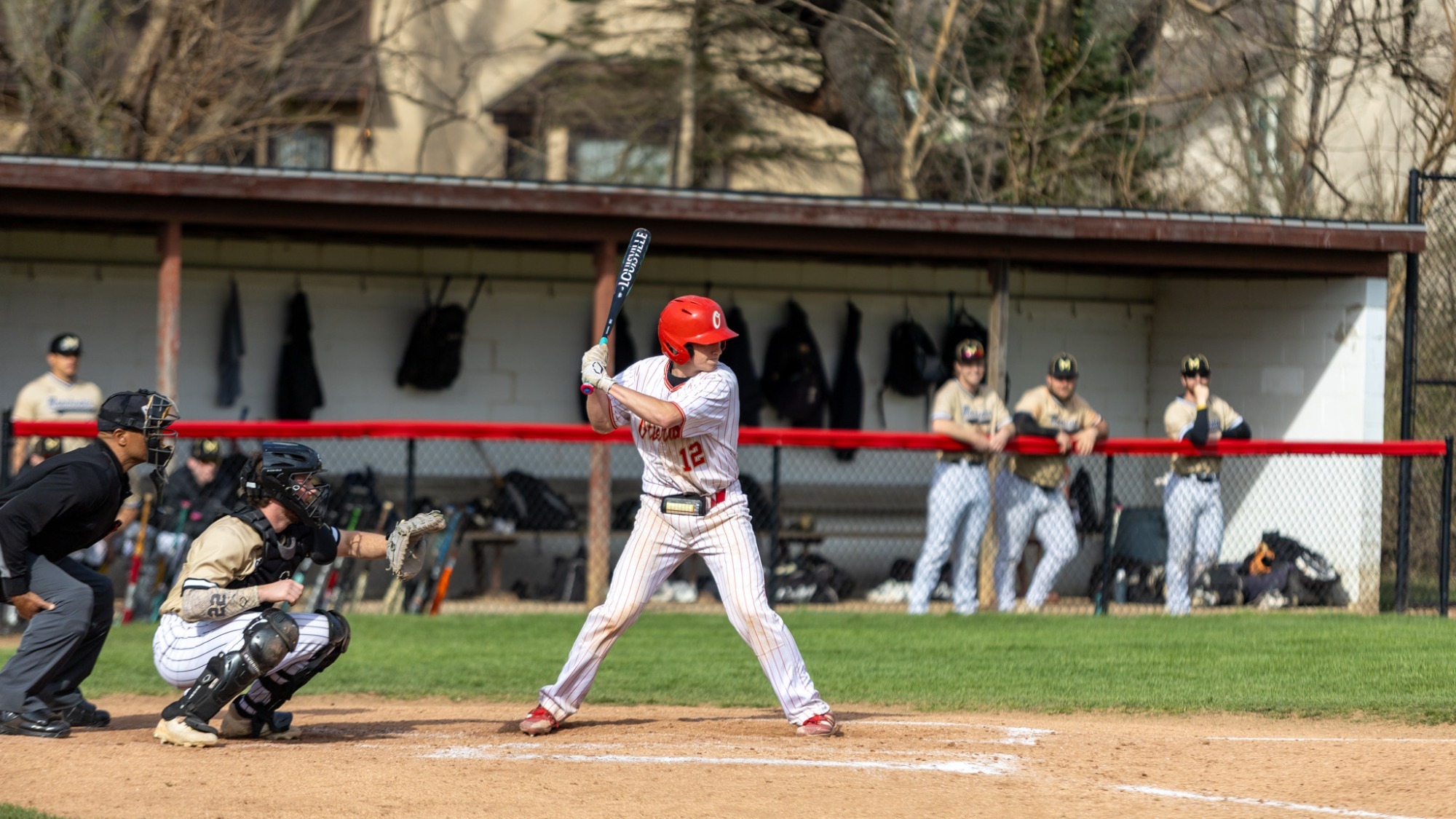 Barber at the Plate