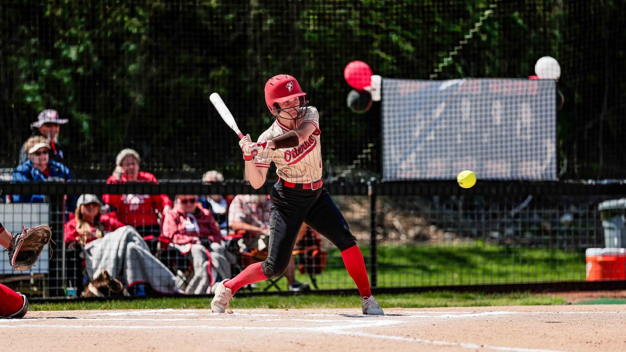 Wilkins Hitting