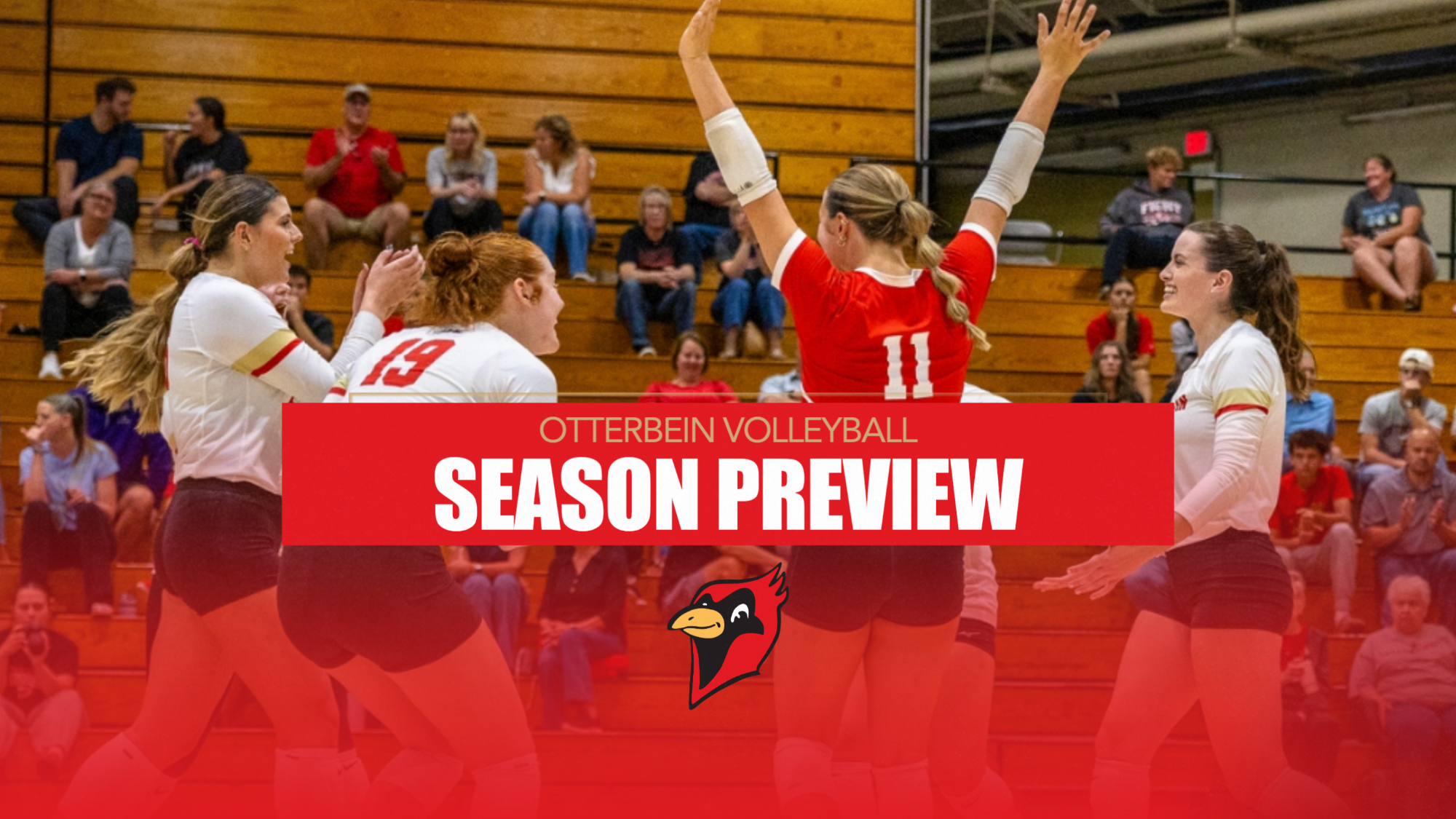 VB Season Preview