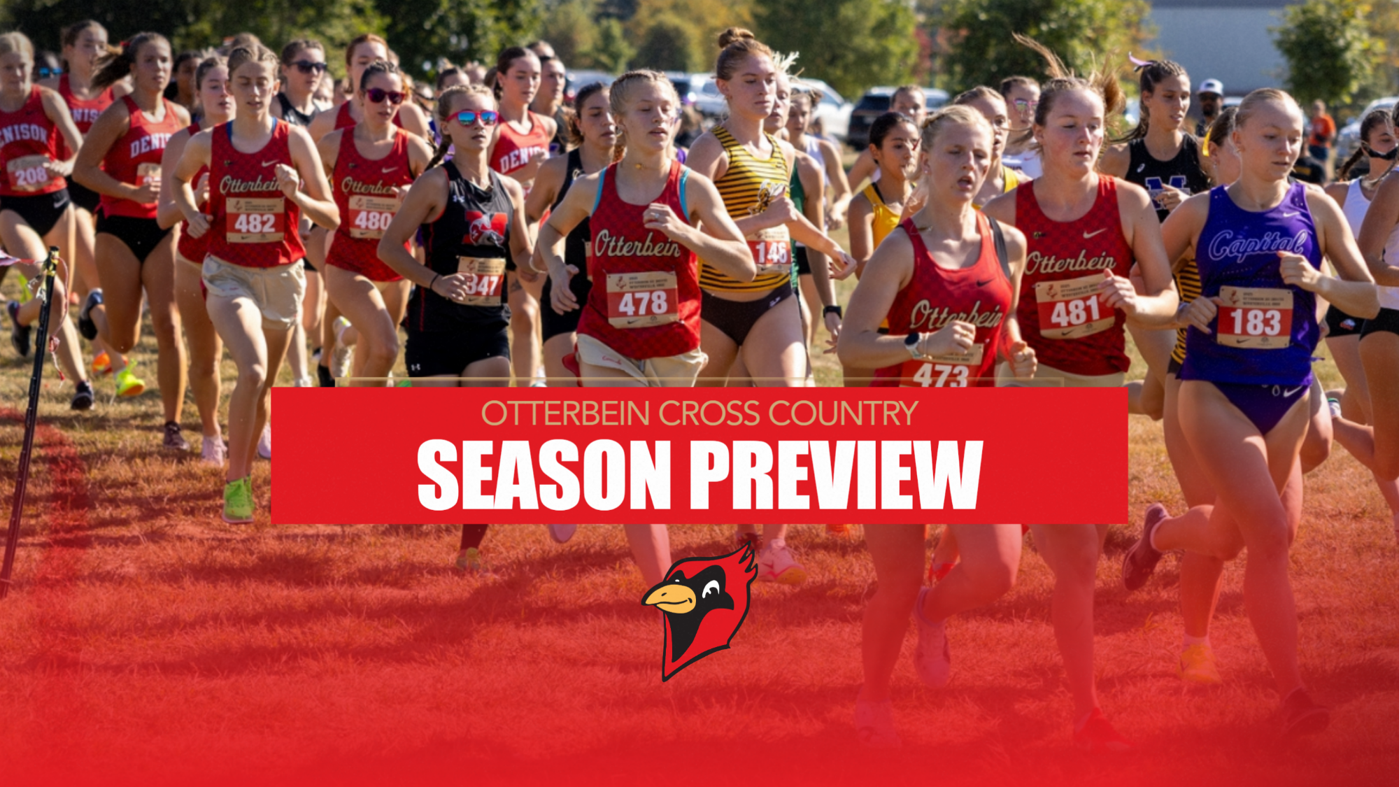XC Season Preview
