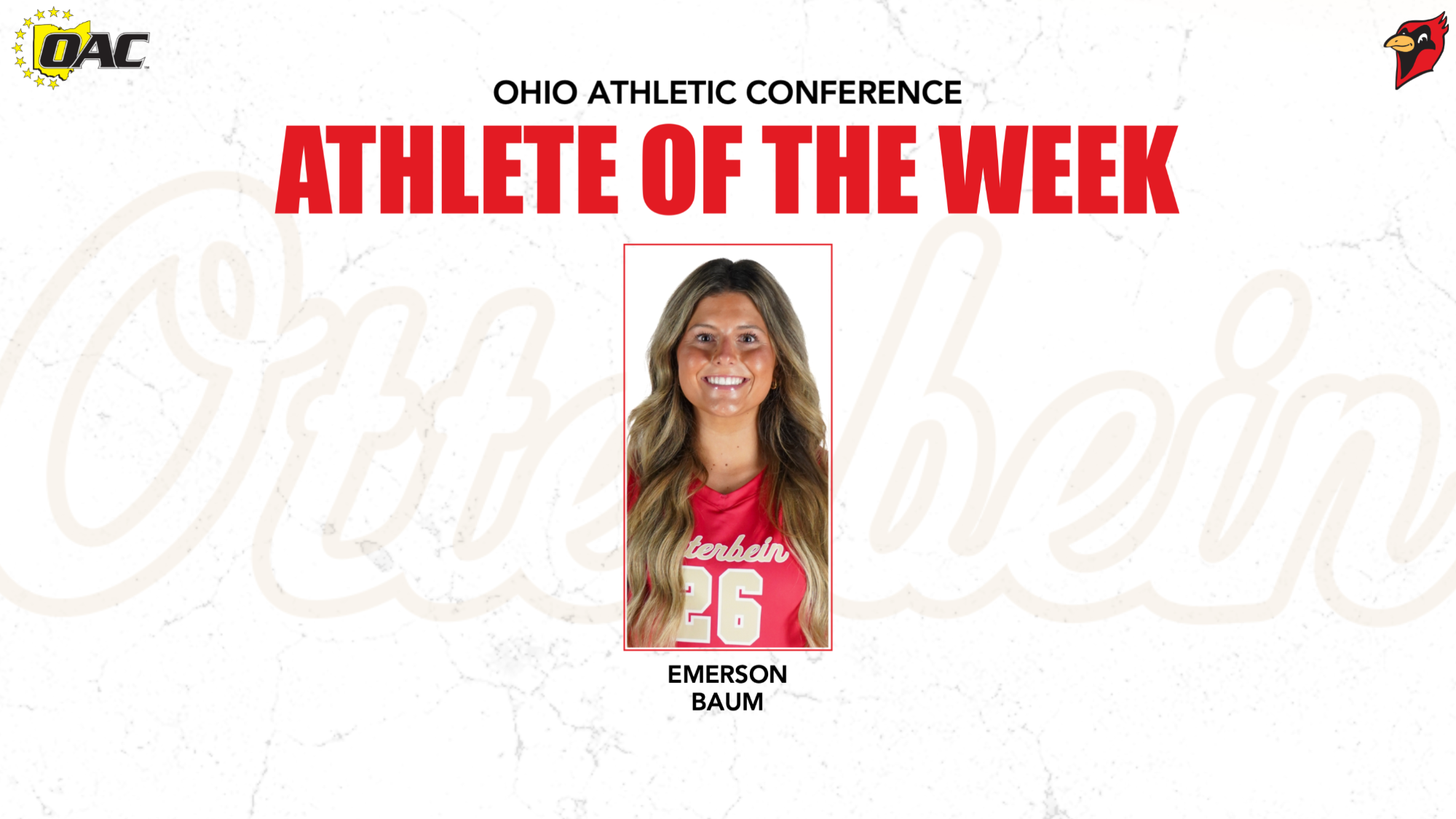 Baum AOTW