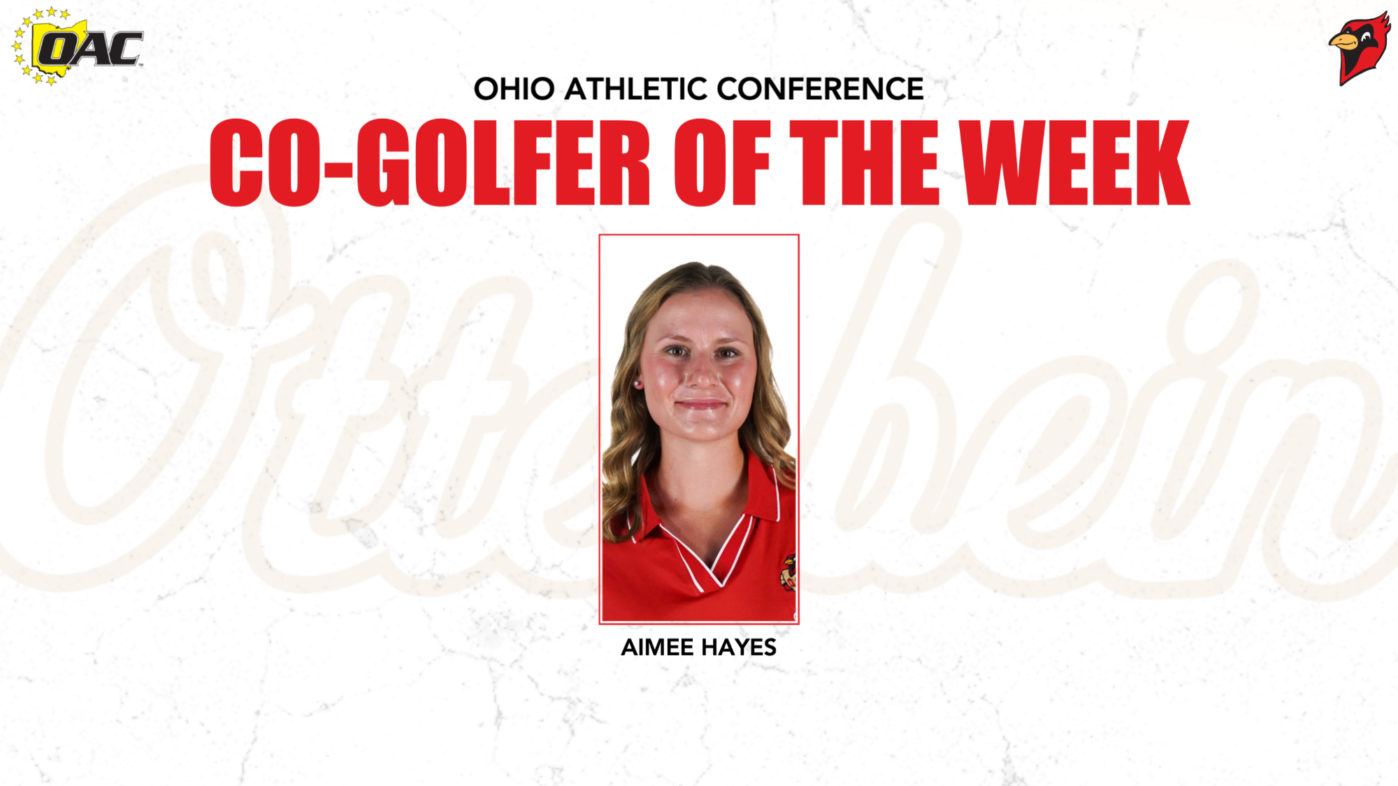 Aimee Hayes OAC AOTW